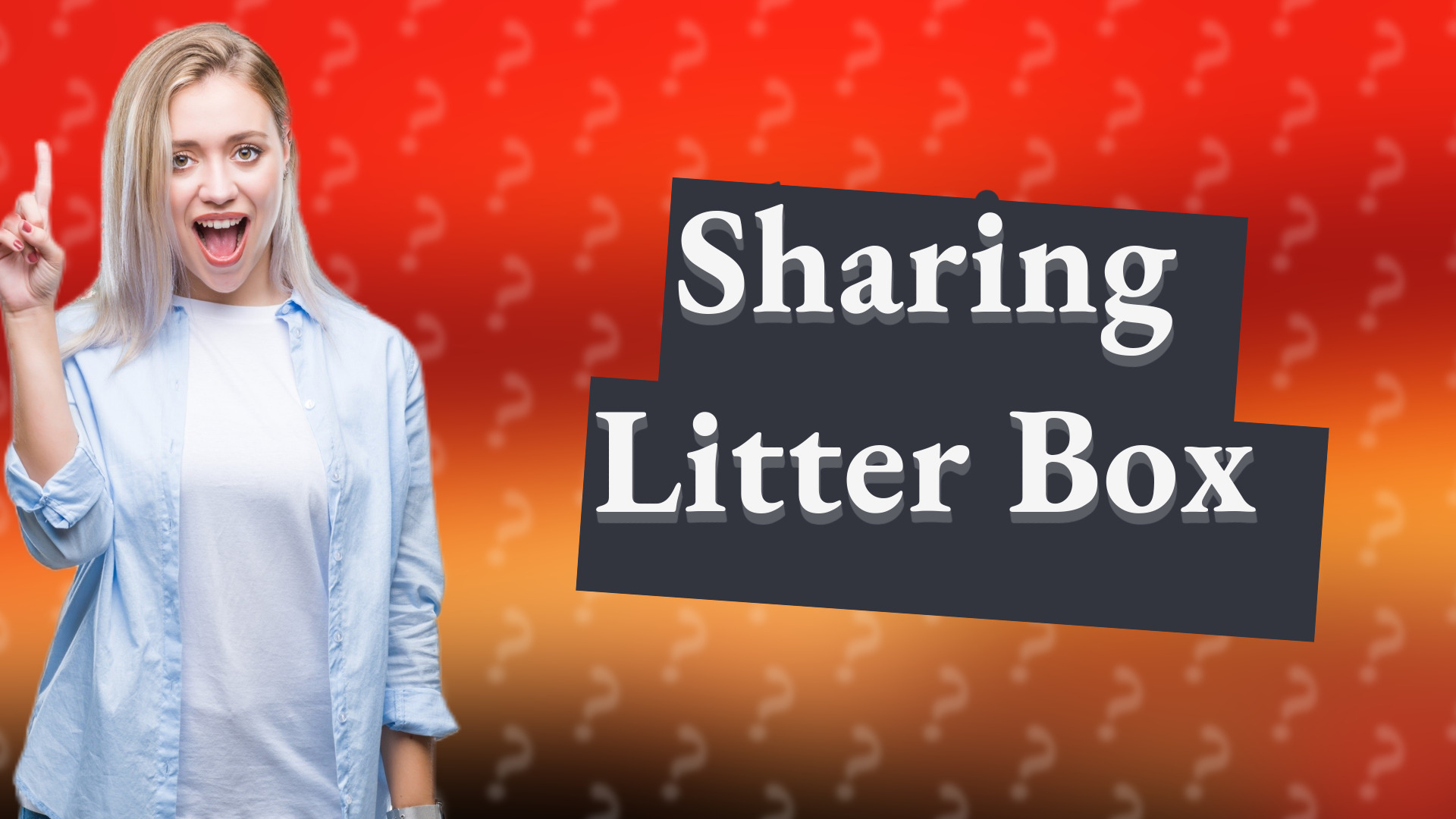 Sharing Litter Box