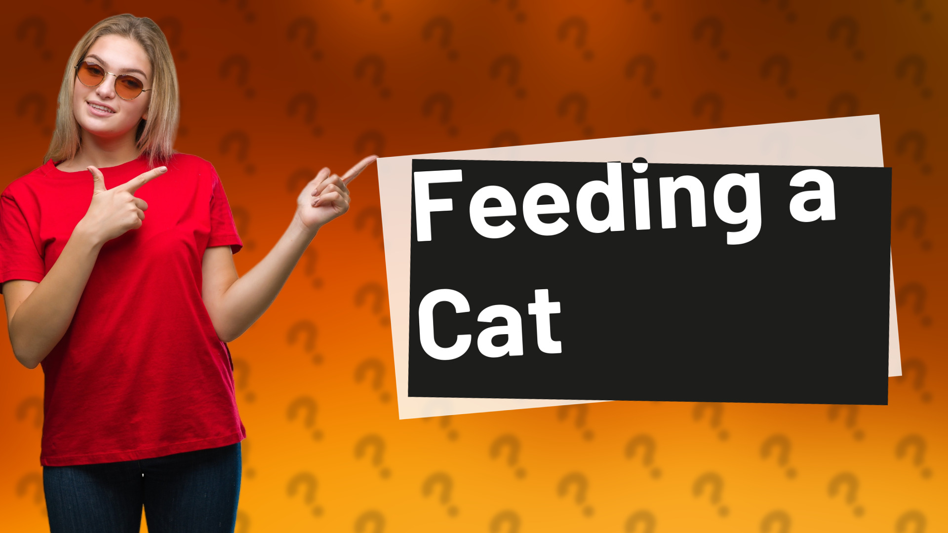 Feeding a Cat