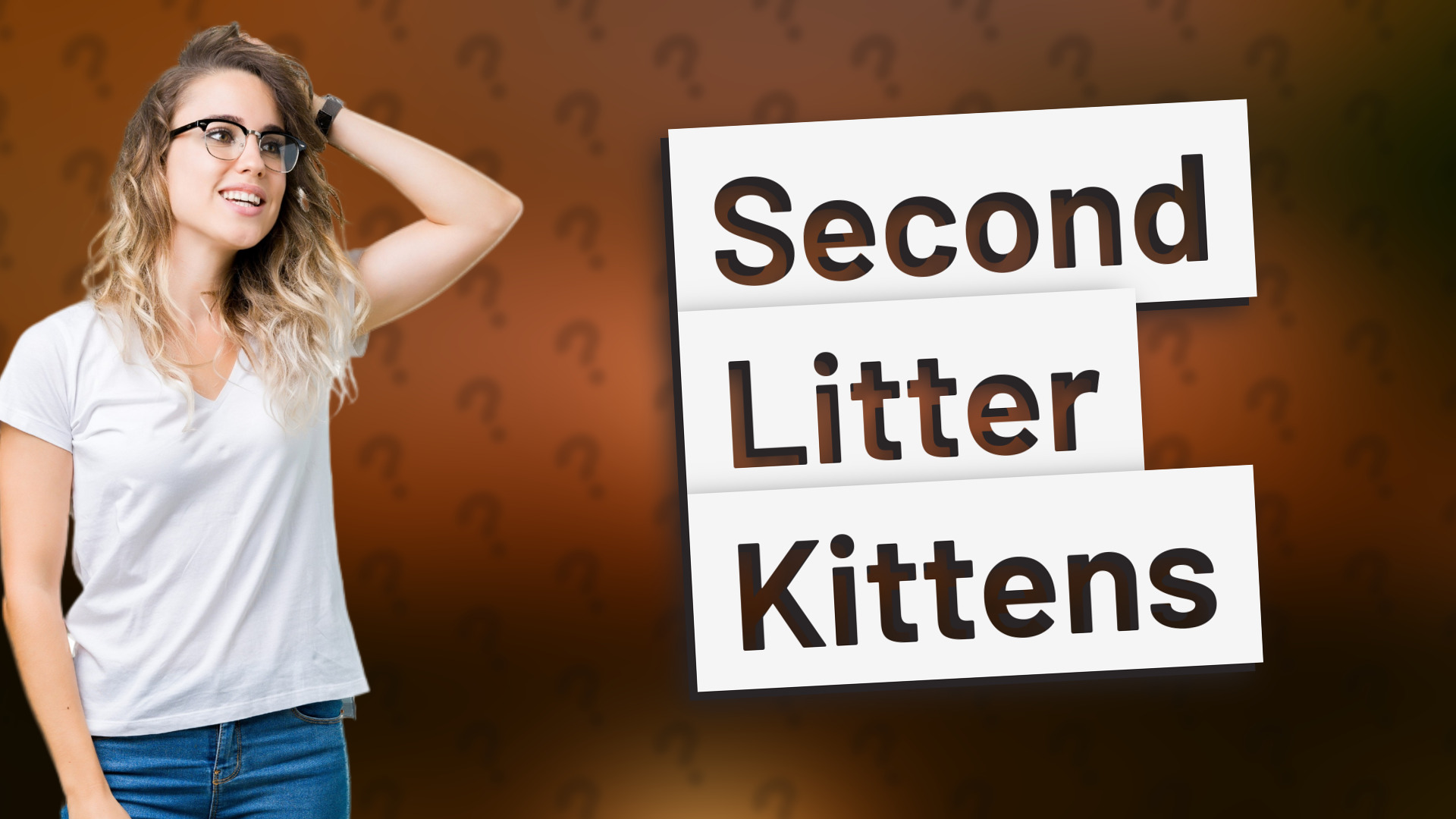 Second Litter Kittens