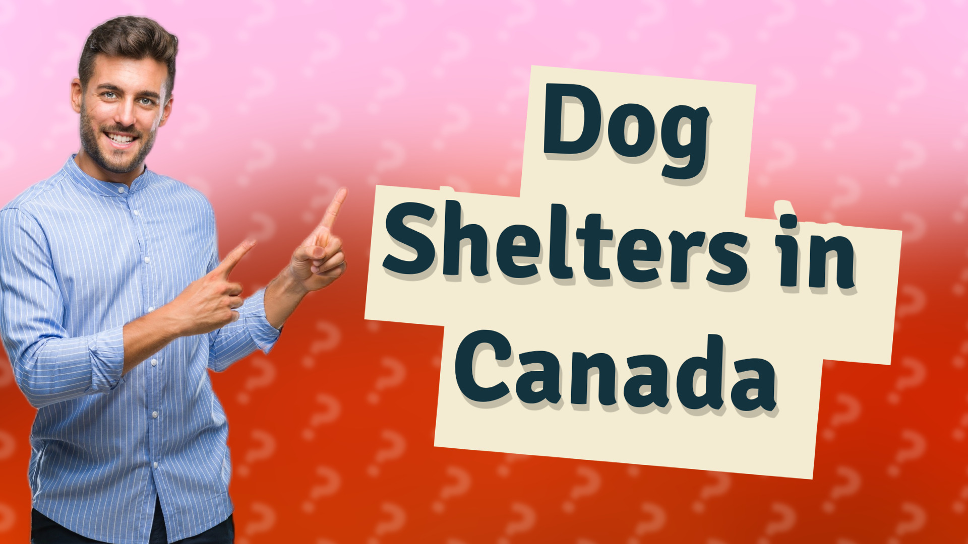 Dog Shelters in Canada