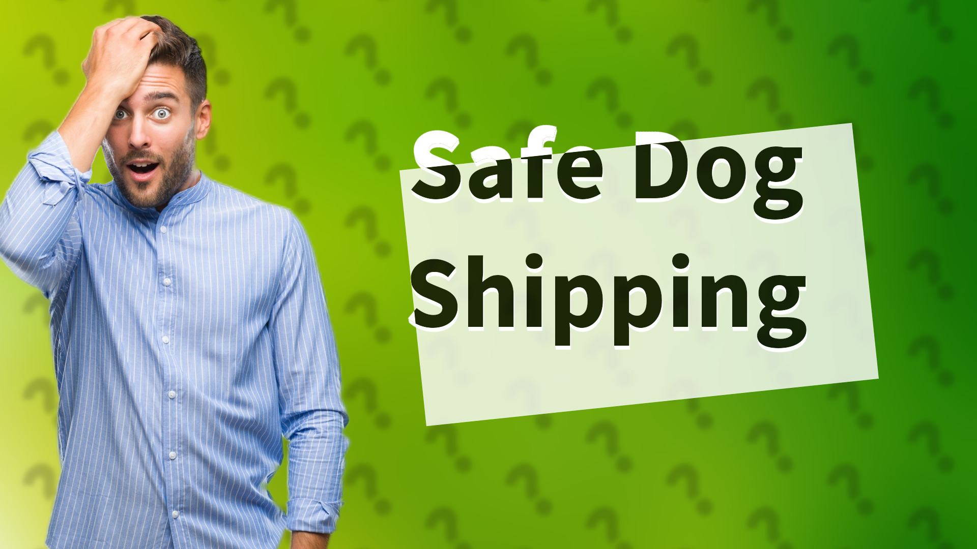 Safe Dog Shipping