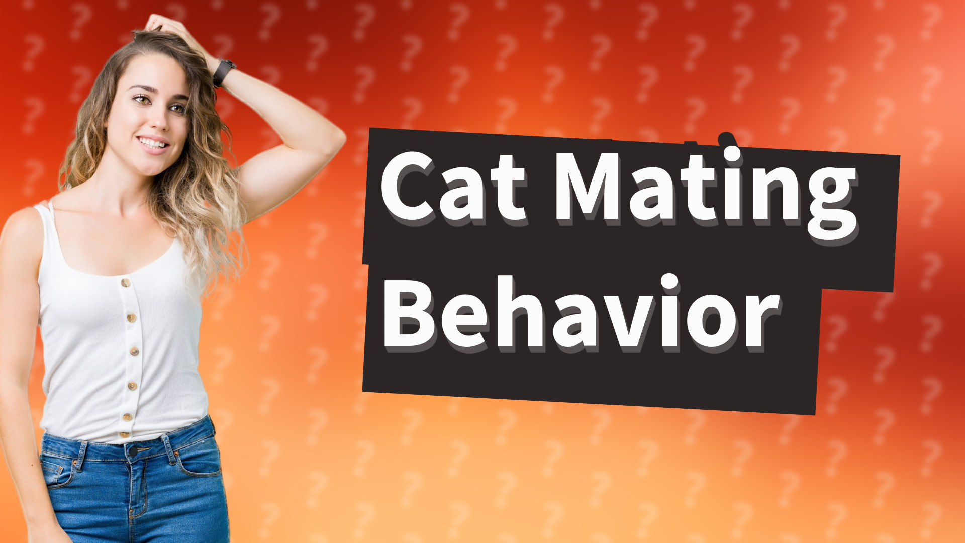 Cat Mating Behavior