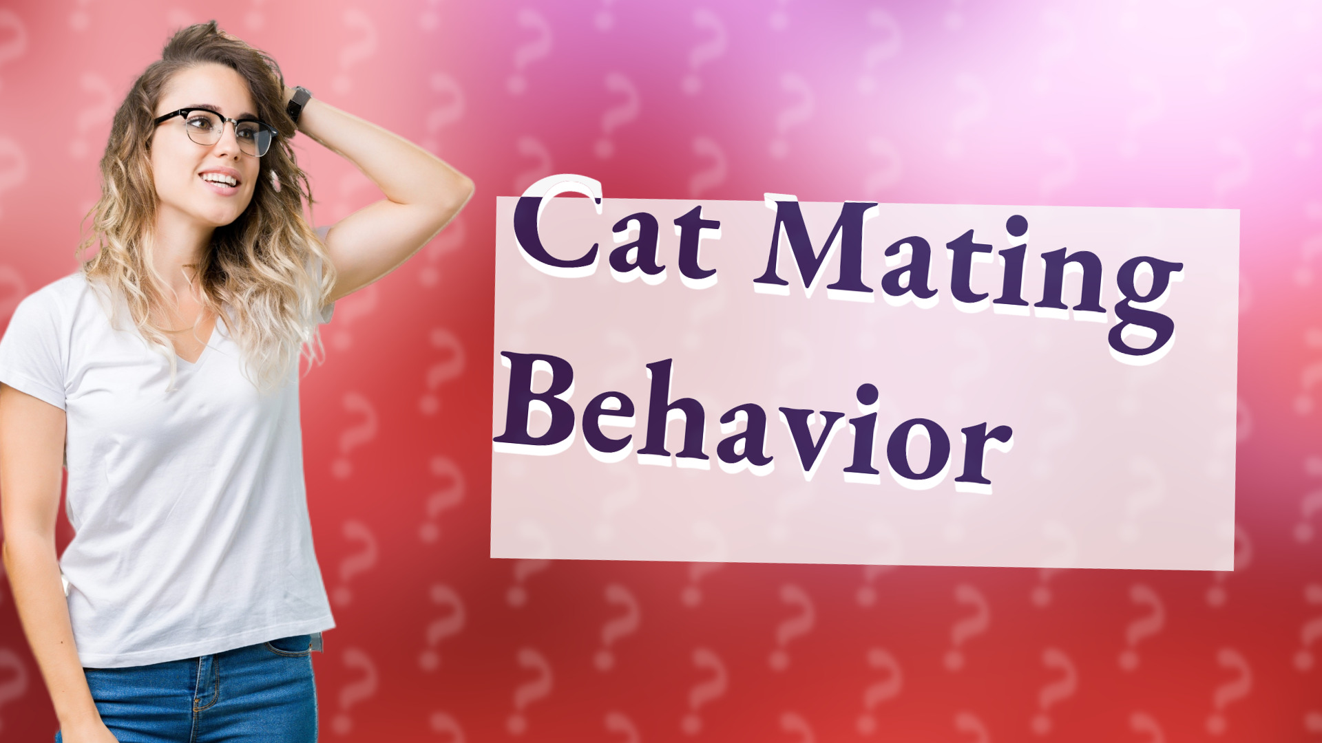 Cat Mating Behavior