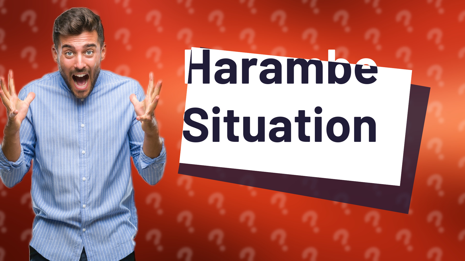 Harambe Situation