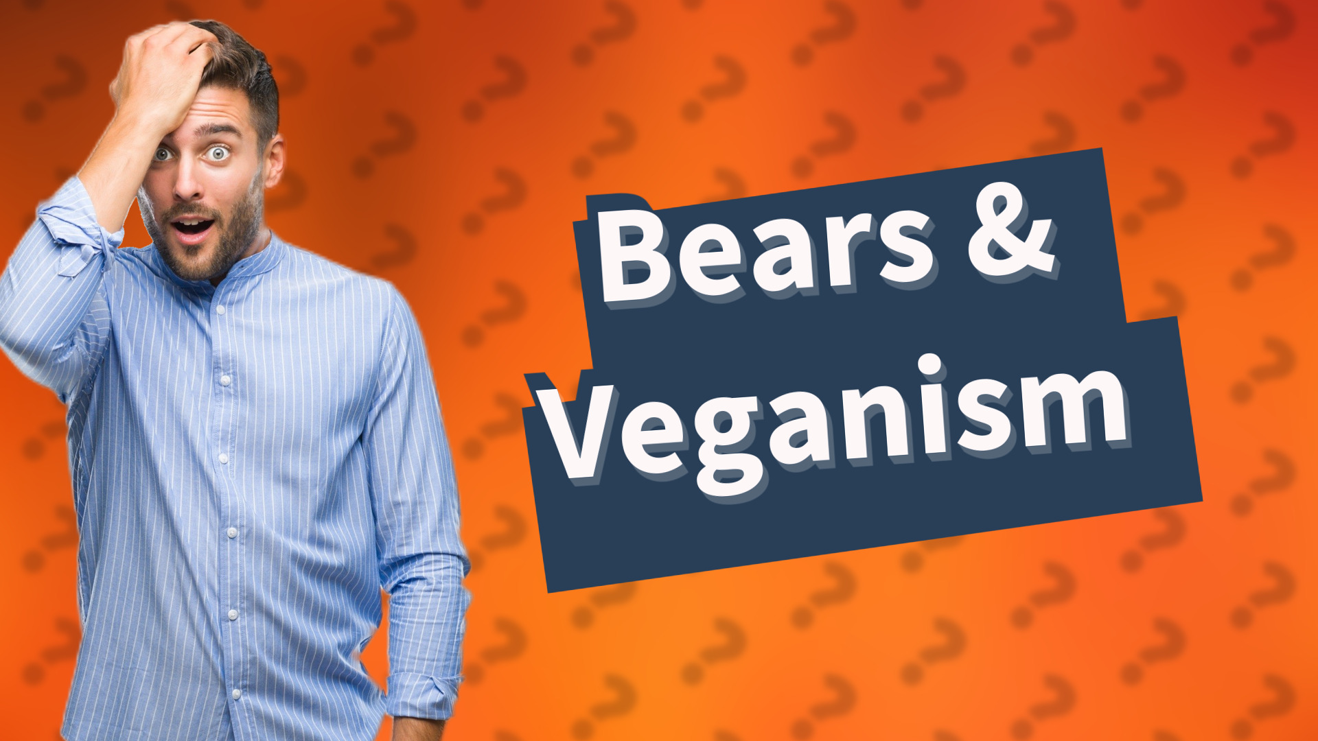 Bears & Veganism