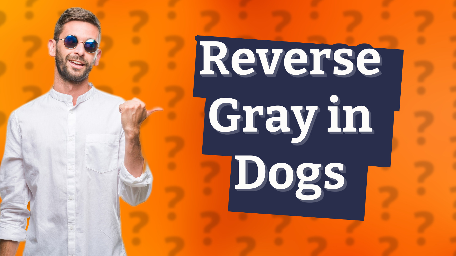Reverse Gray in Dogs