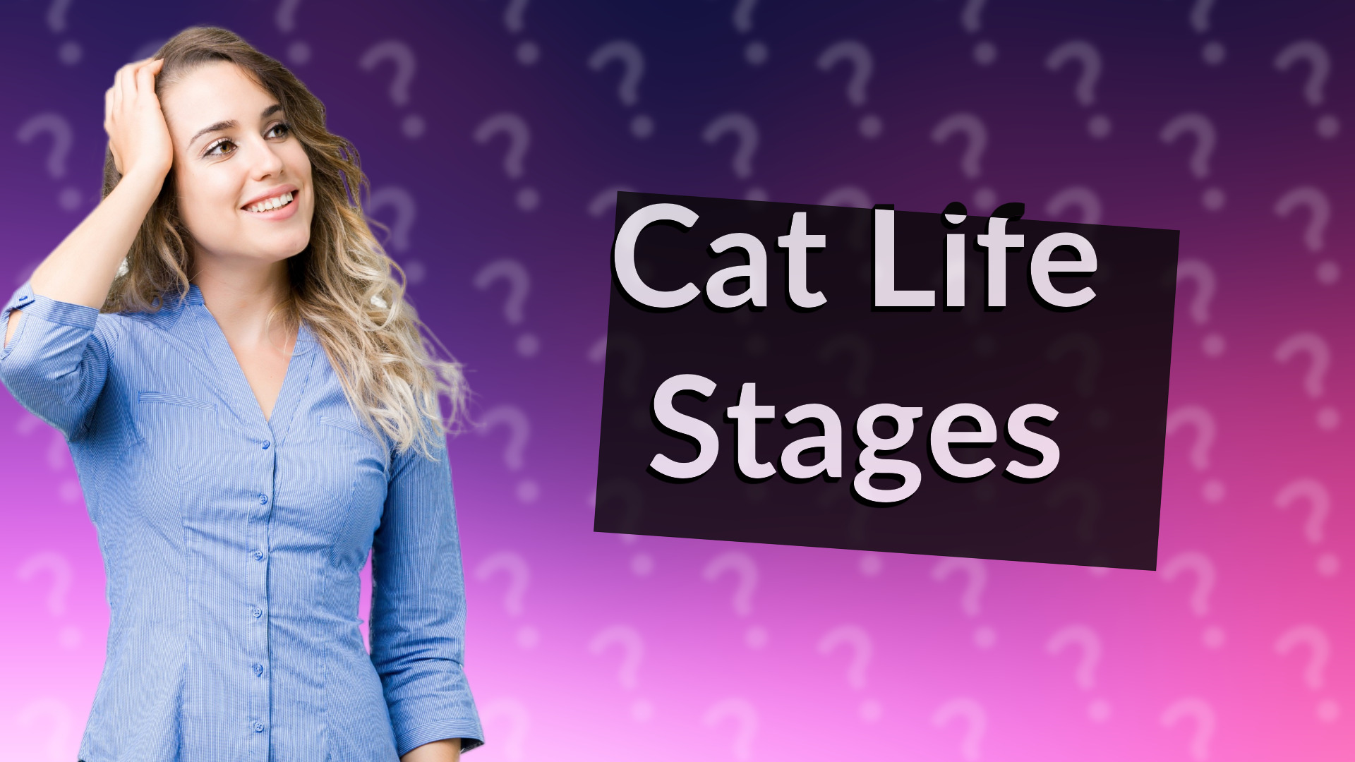 Cat Life Stages