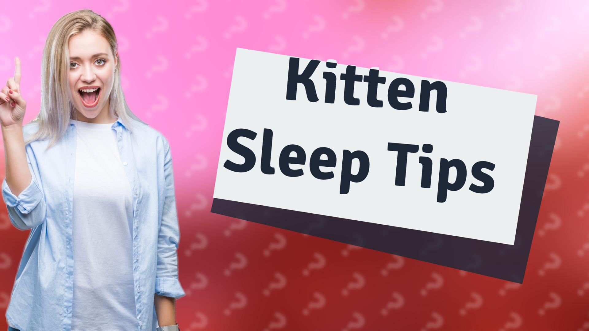 Kitten Sleep Tips