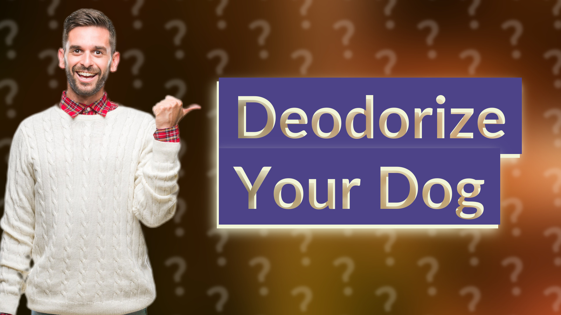 Deodorize Your Dog