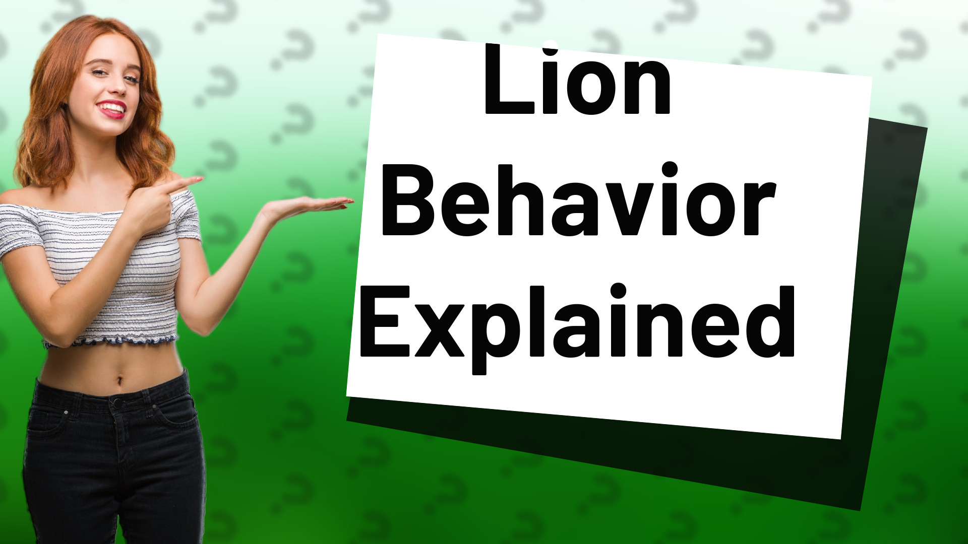 Lion Behavior Explained