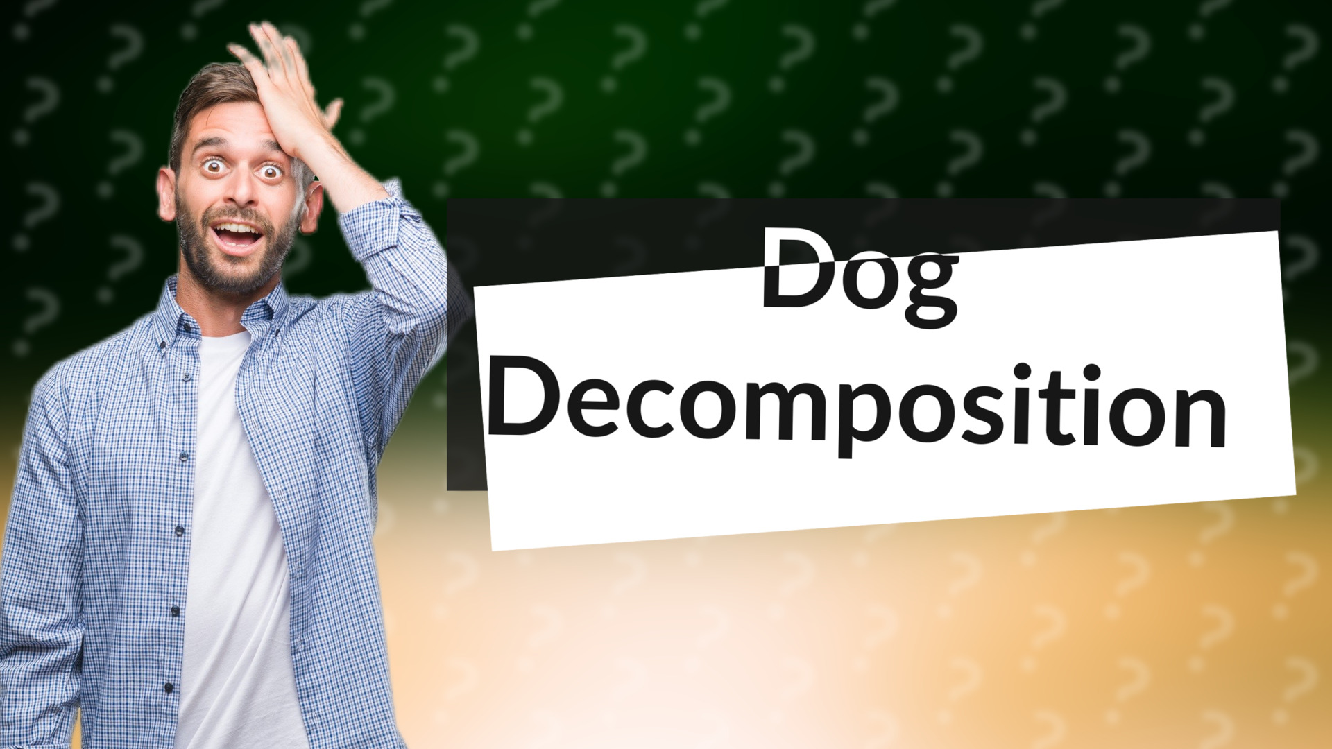 Dog Decomposition