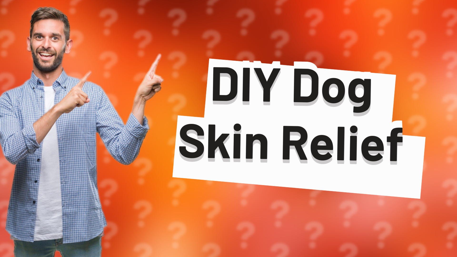 DIY Dog Skin Relief