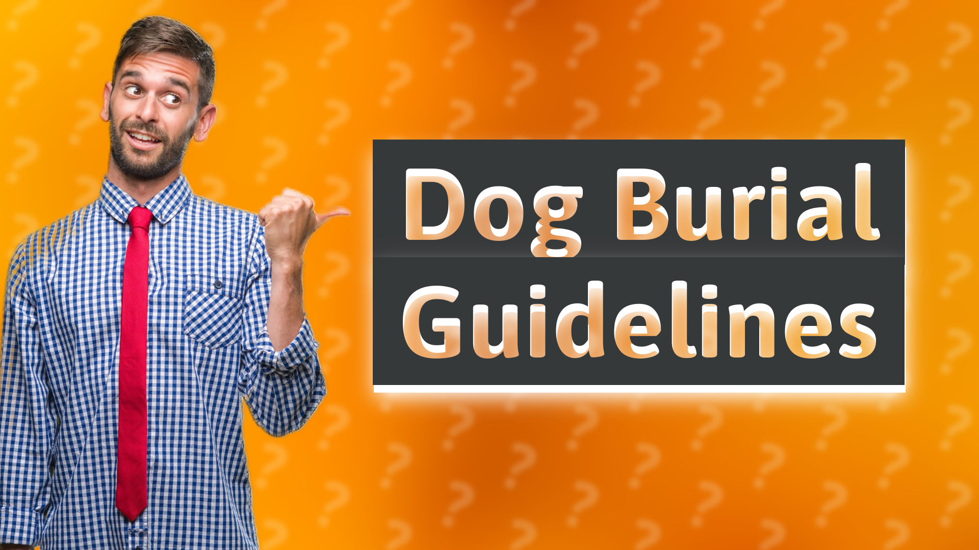 Dog Burial Guidelines
