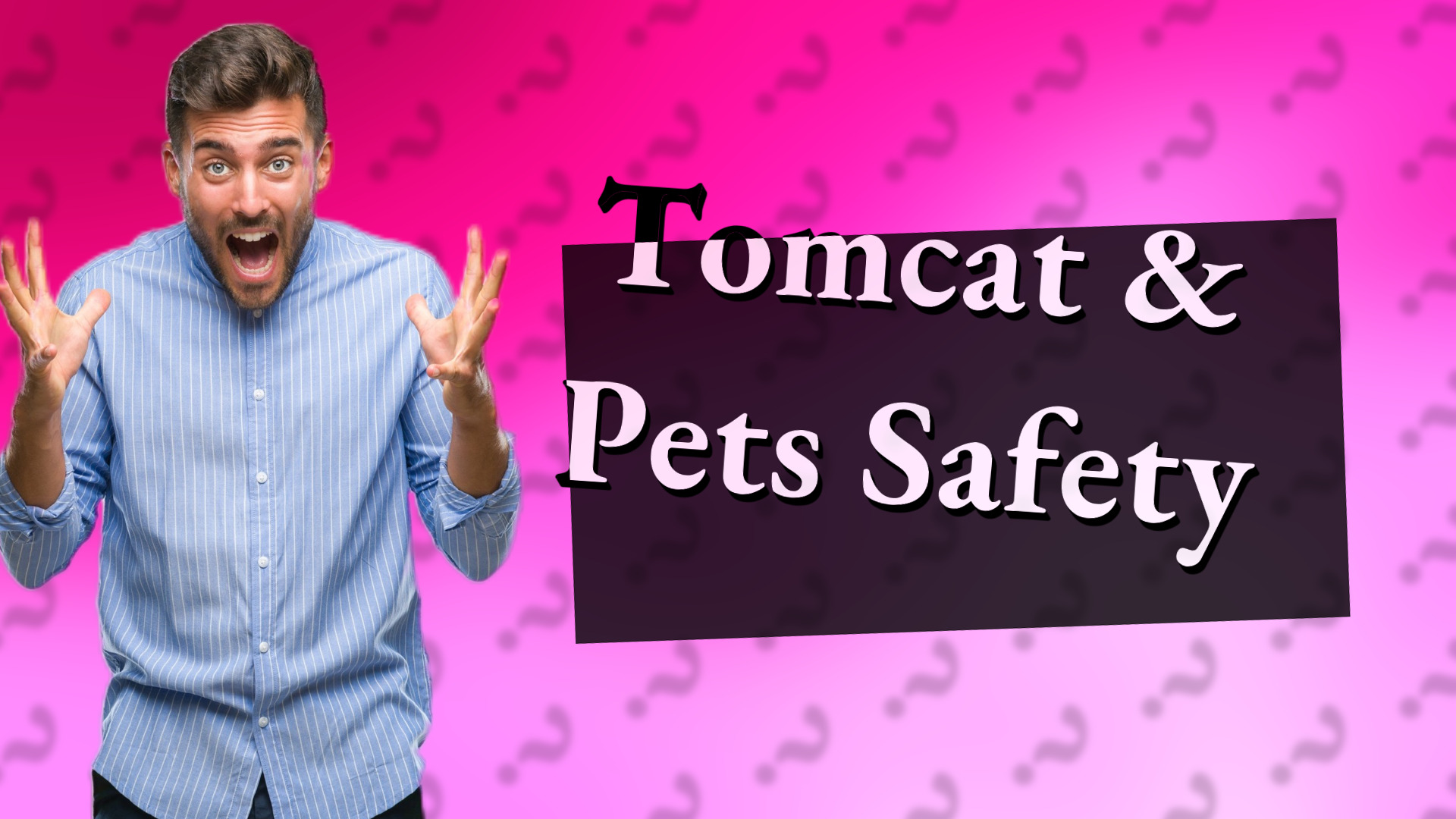 Tomcat & Pets Safety