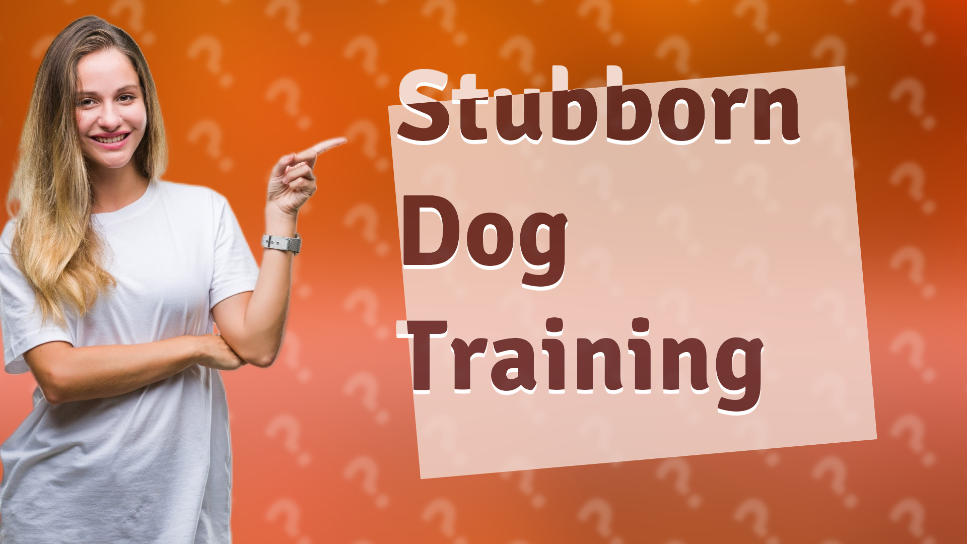 Stubborn Dog Training