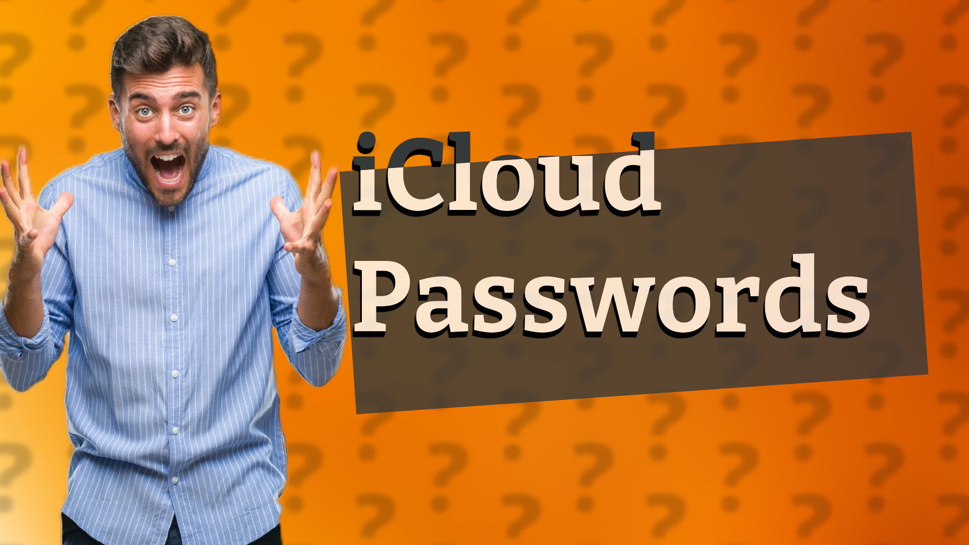 iCloud Passwords
