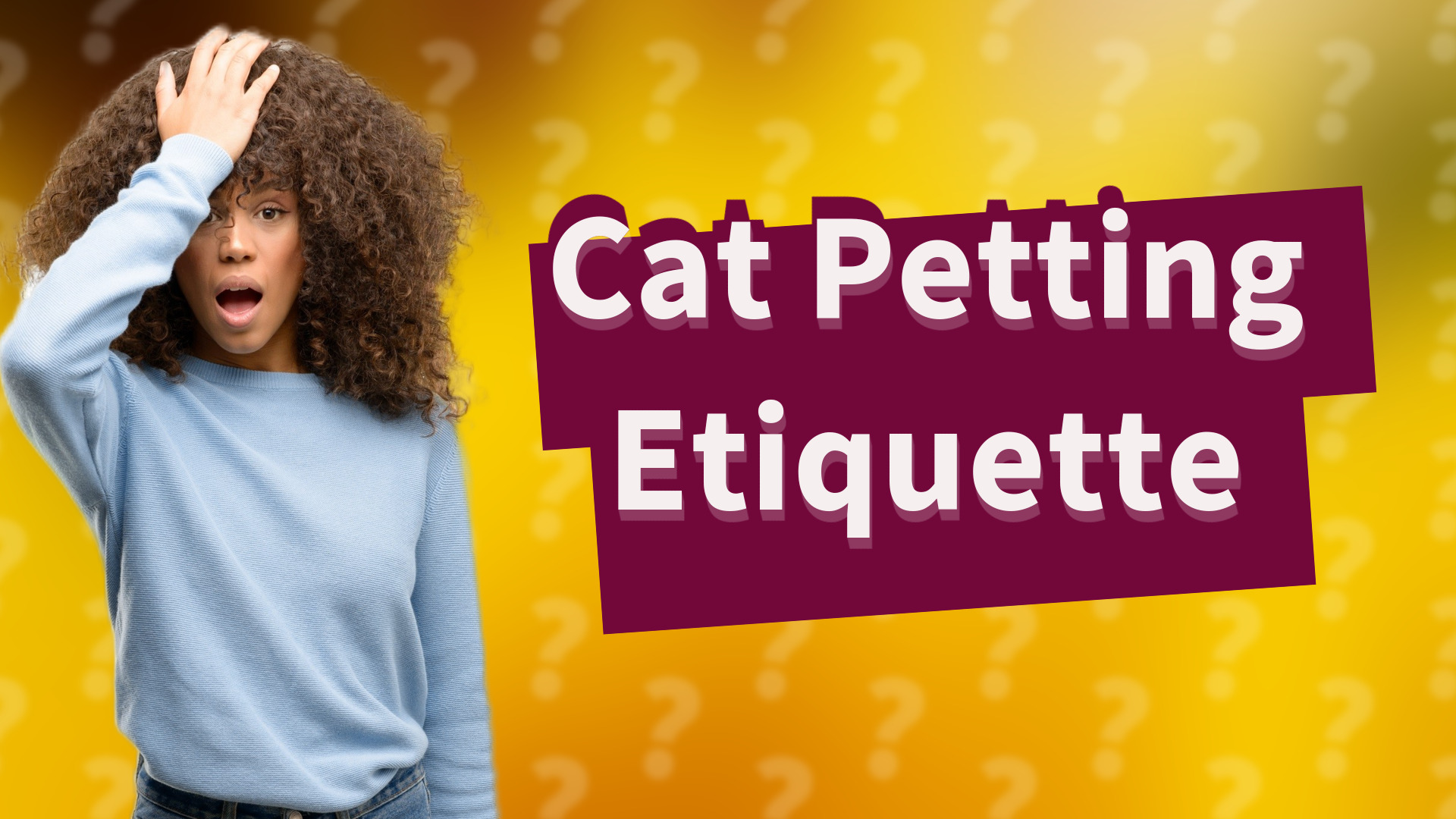Cat Petting Etiquette