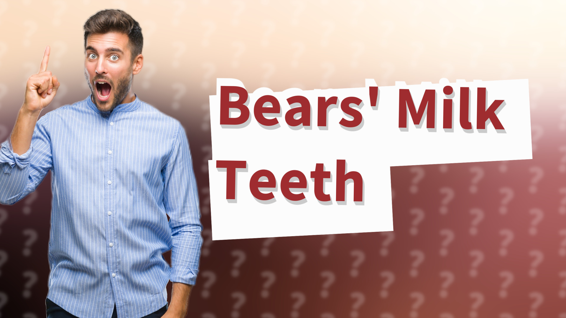 Bears' Milk Teeth