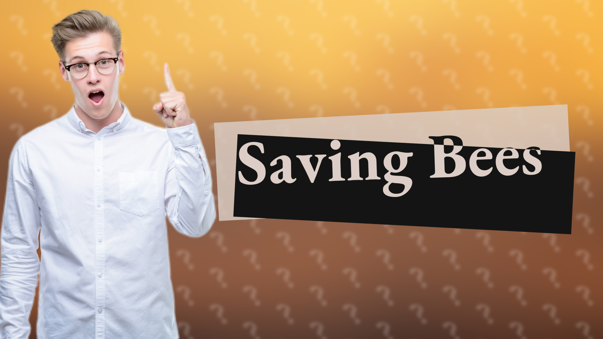 Saving Bees