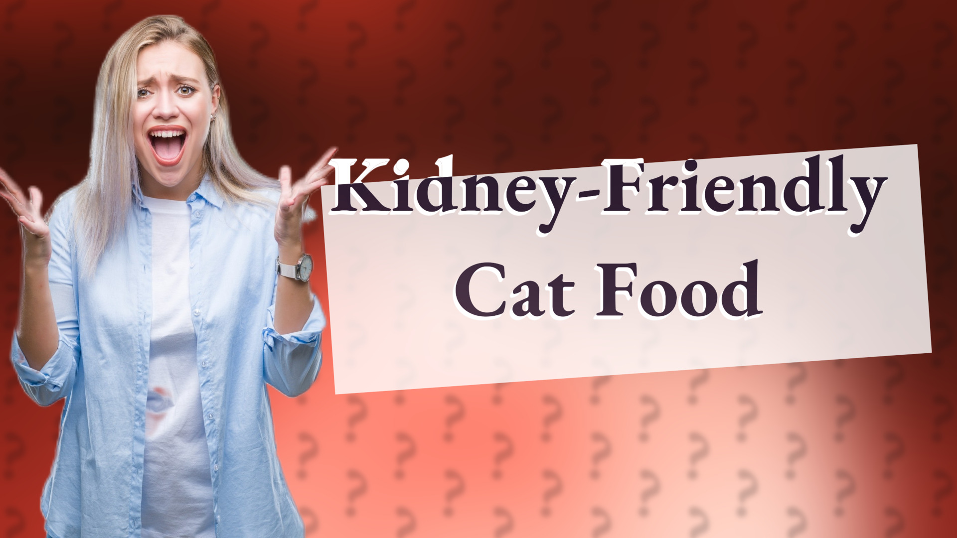 Kidney-Friendly Cat Food