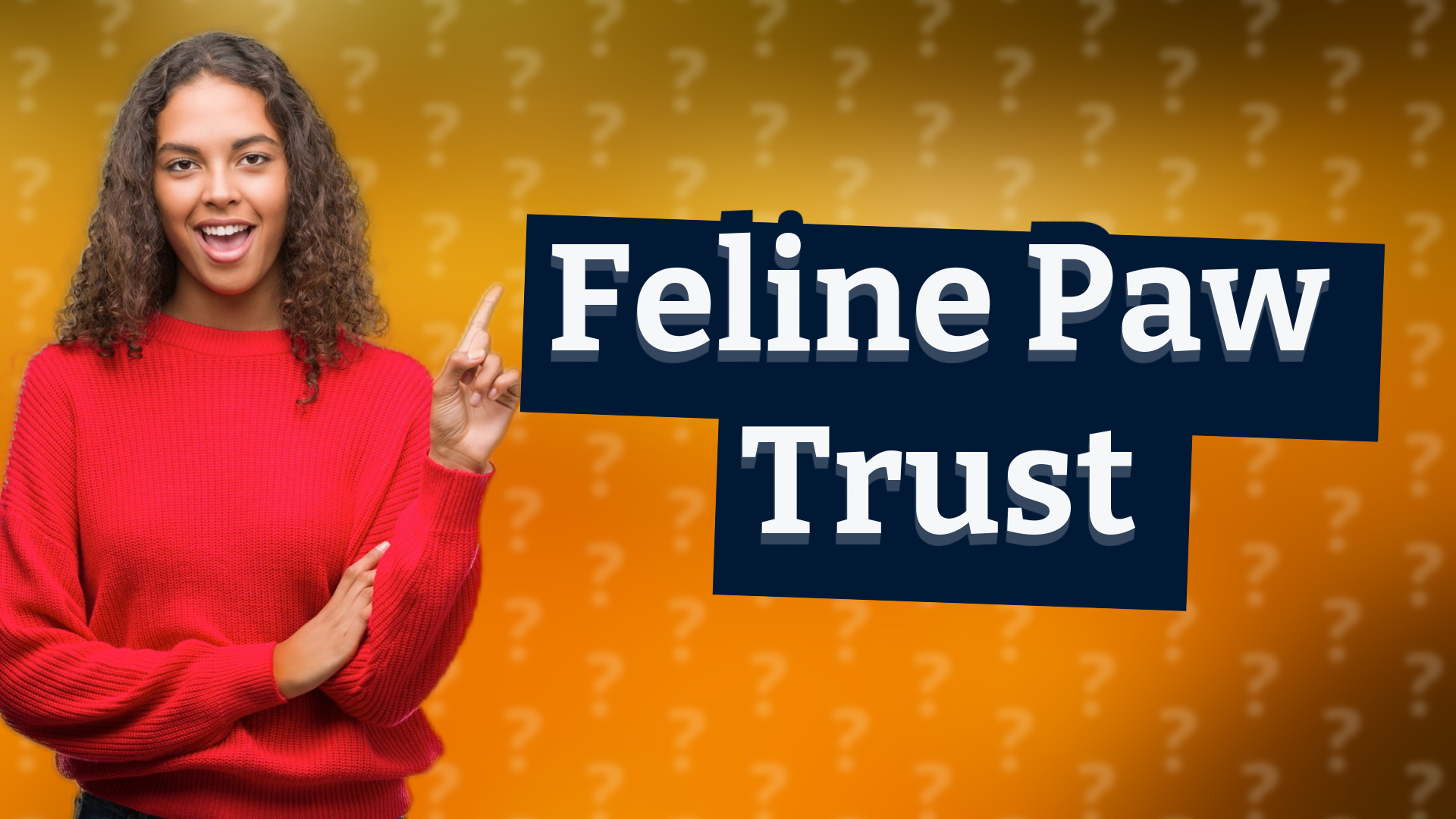 Feline Paw Trust