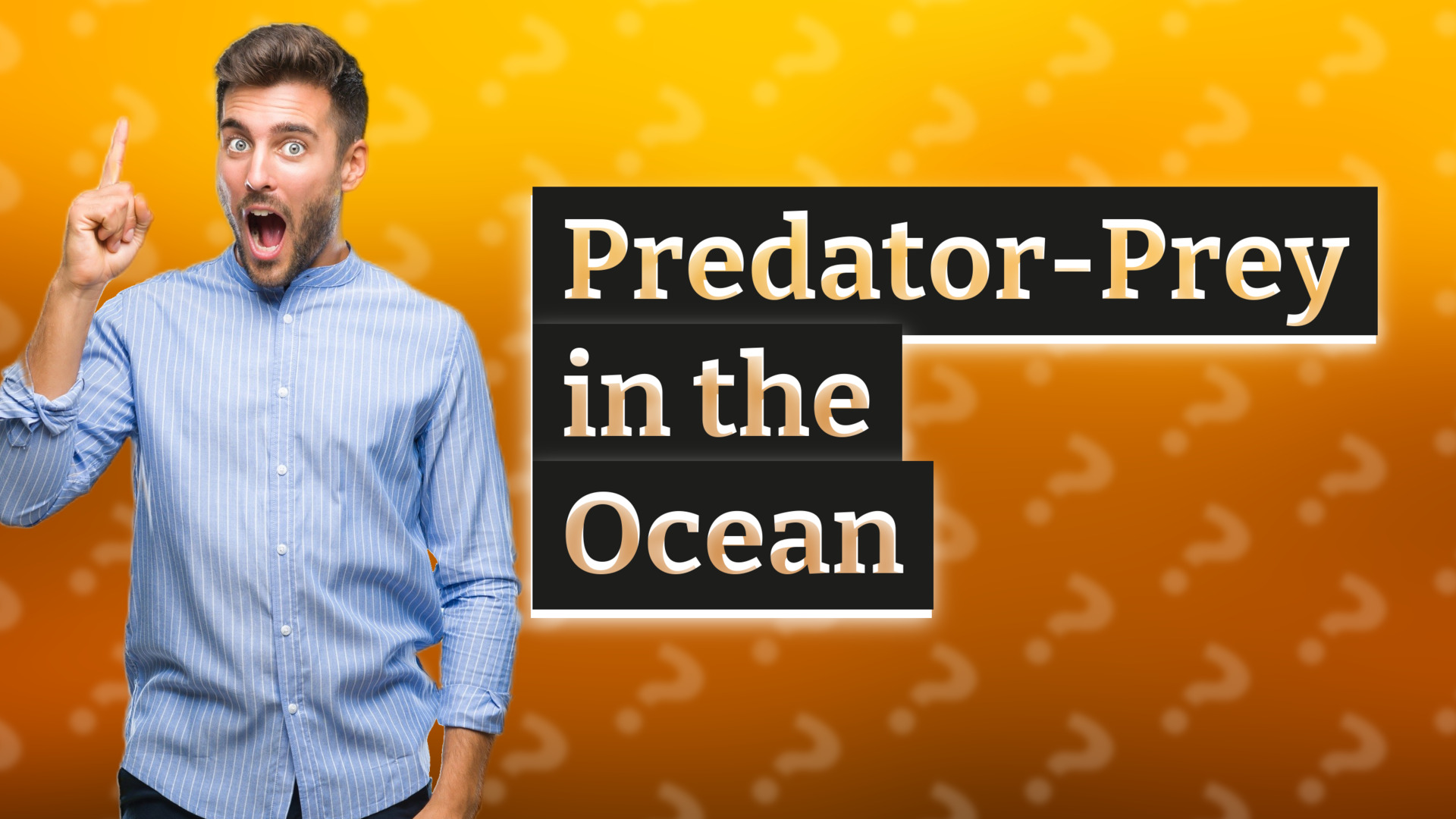 Predator-Prey in the Ocean
