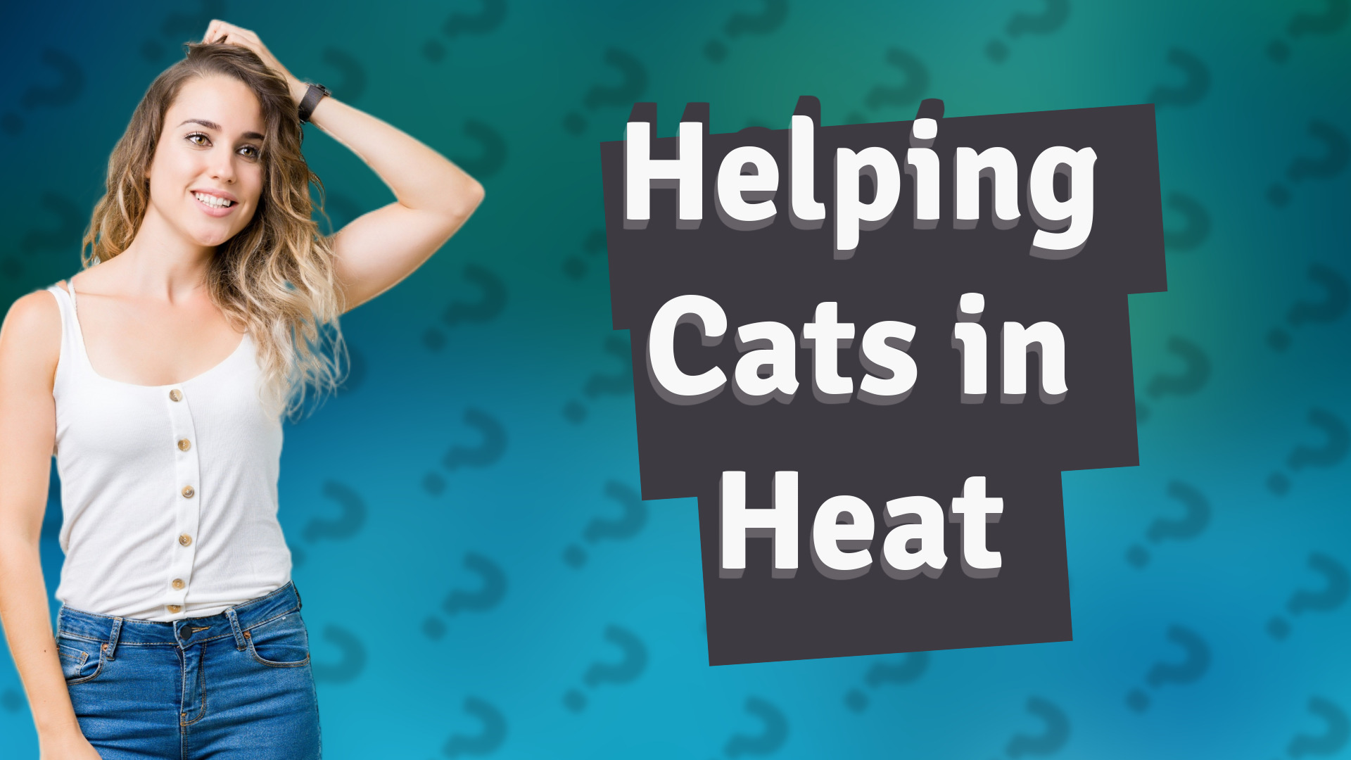 Helping Cats in Heat