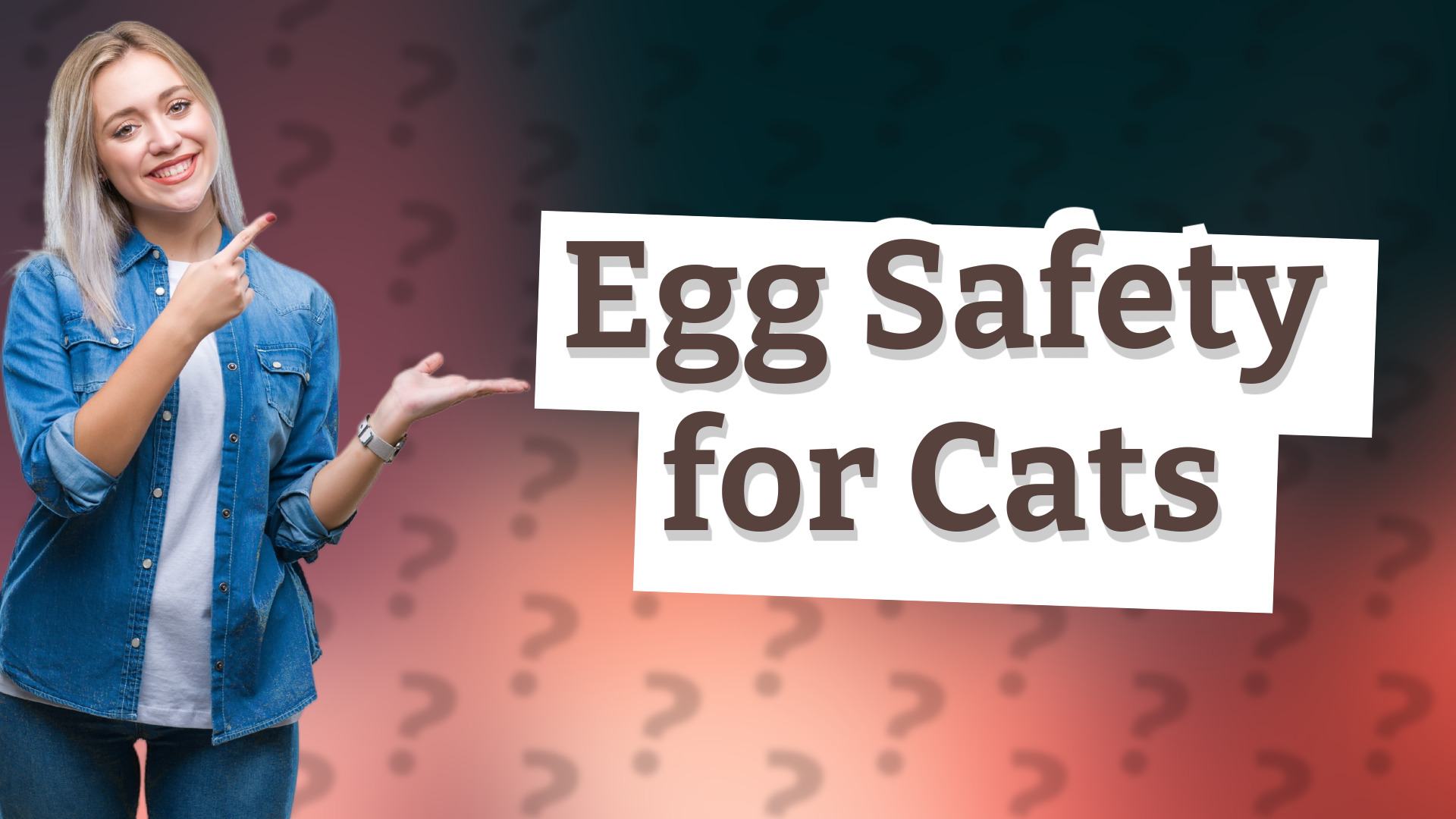 Egg Safety for Cats