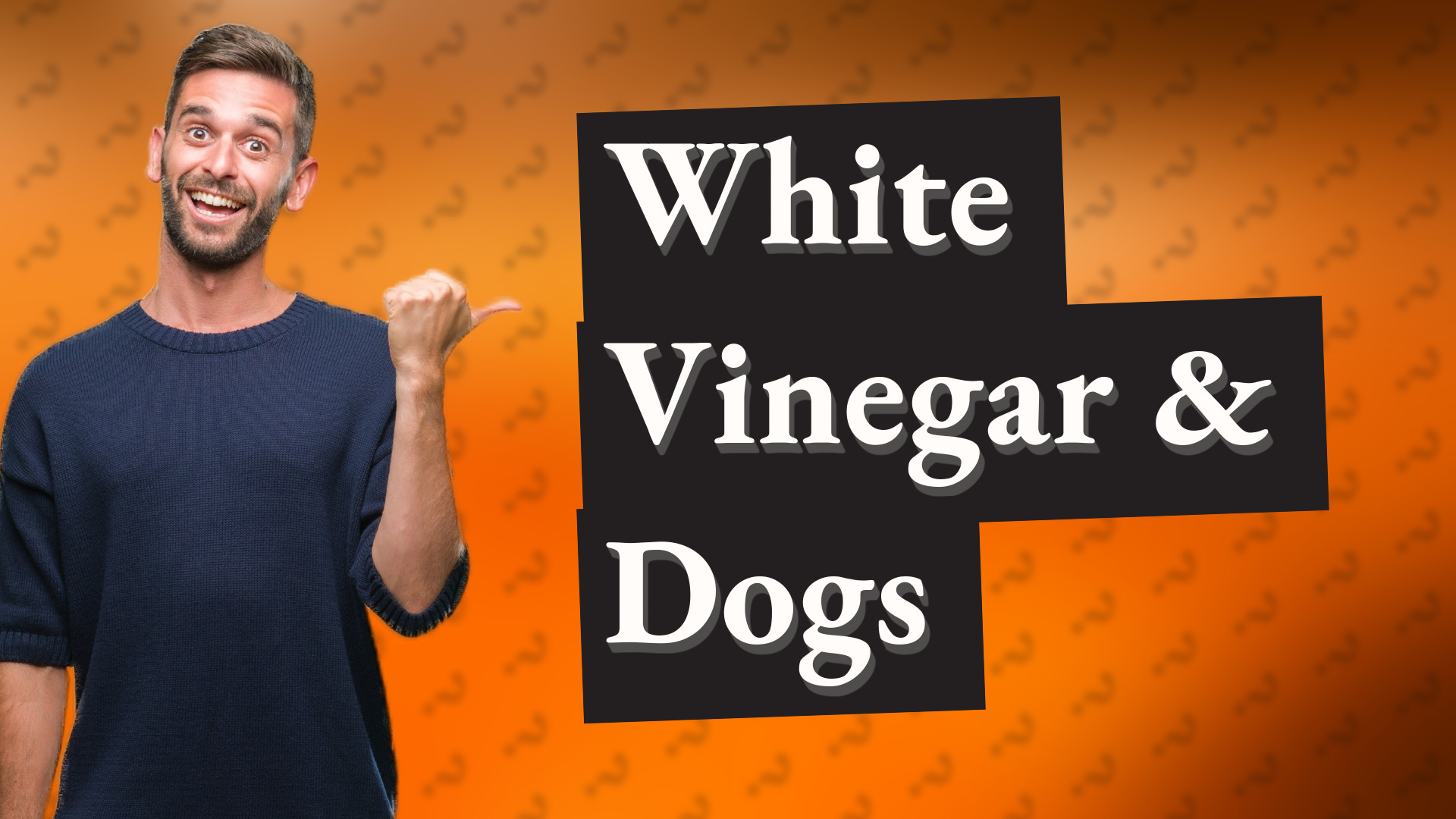 White Vinegar & Dogs