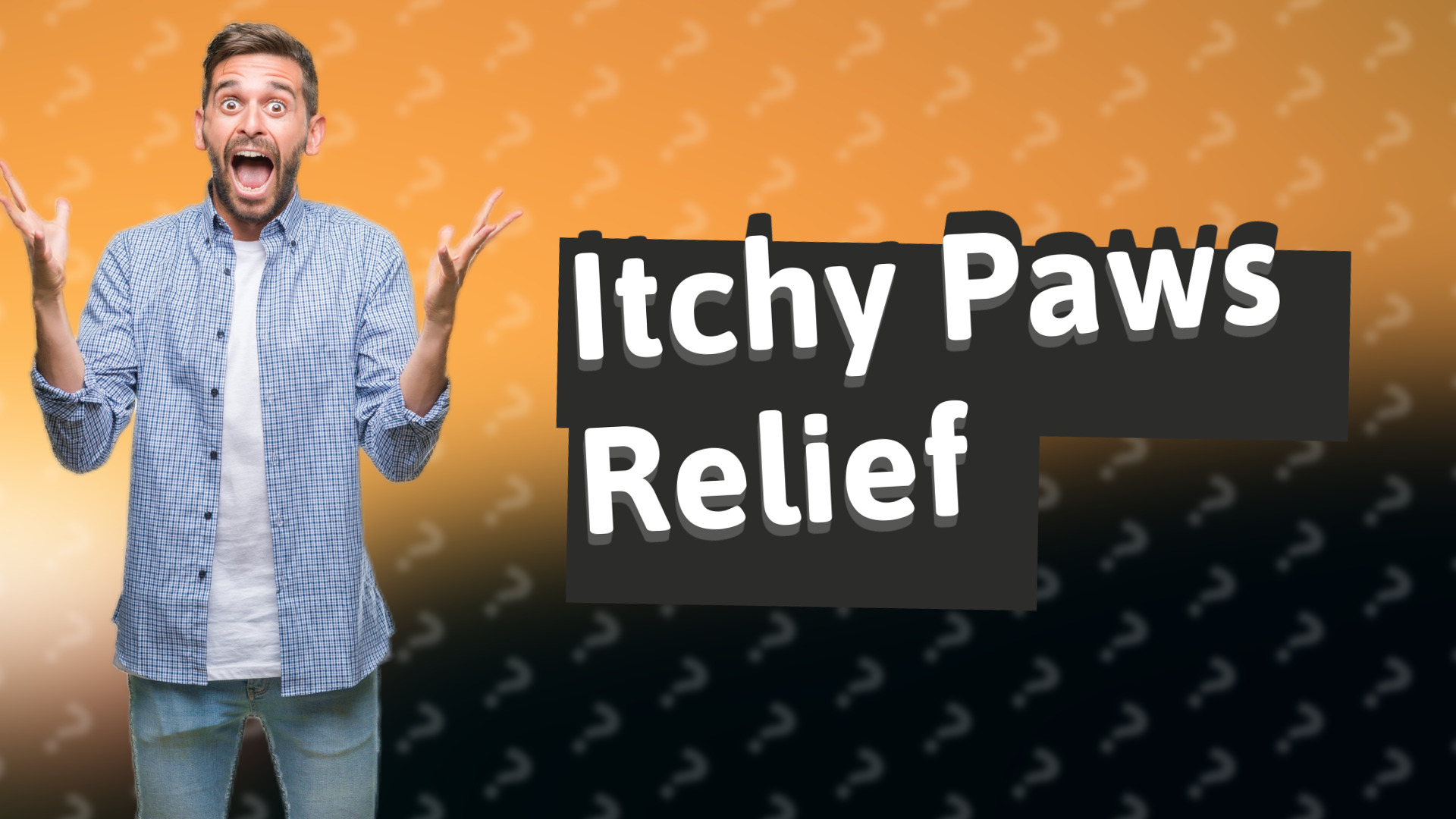 Itchy Paws Relief