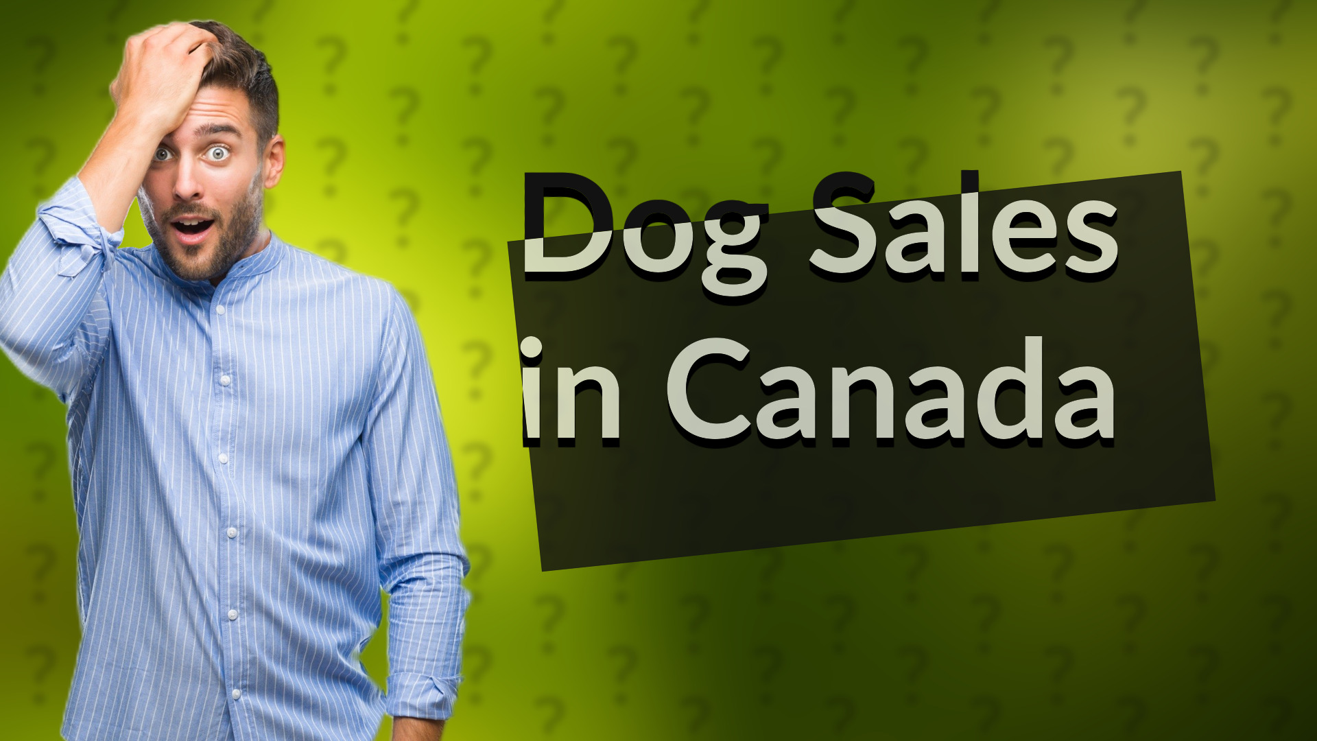 Dog Sales in Canada
