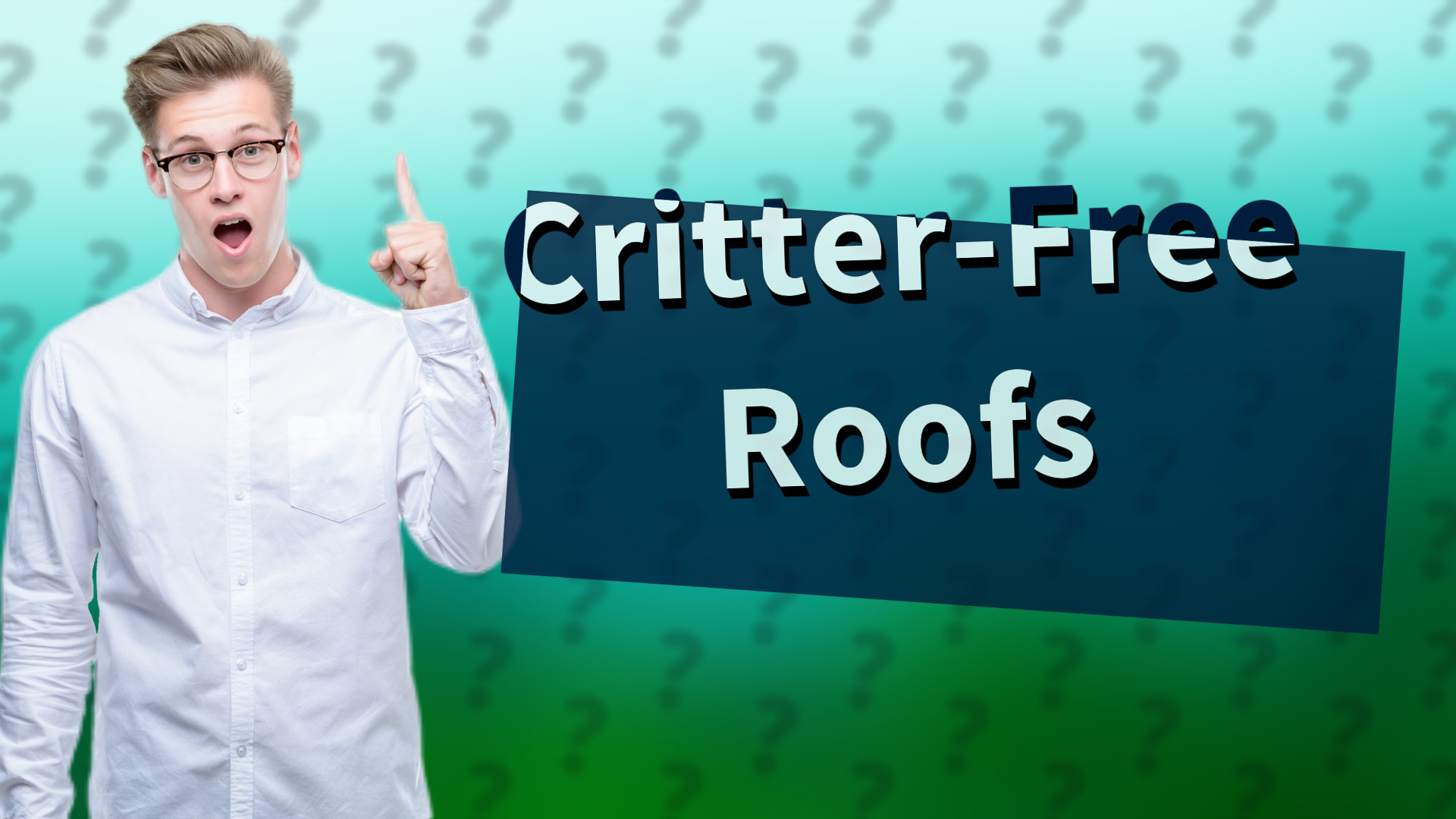 Critter-Free Roofs