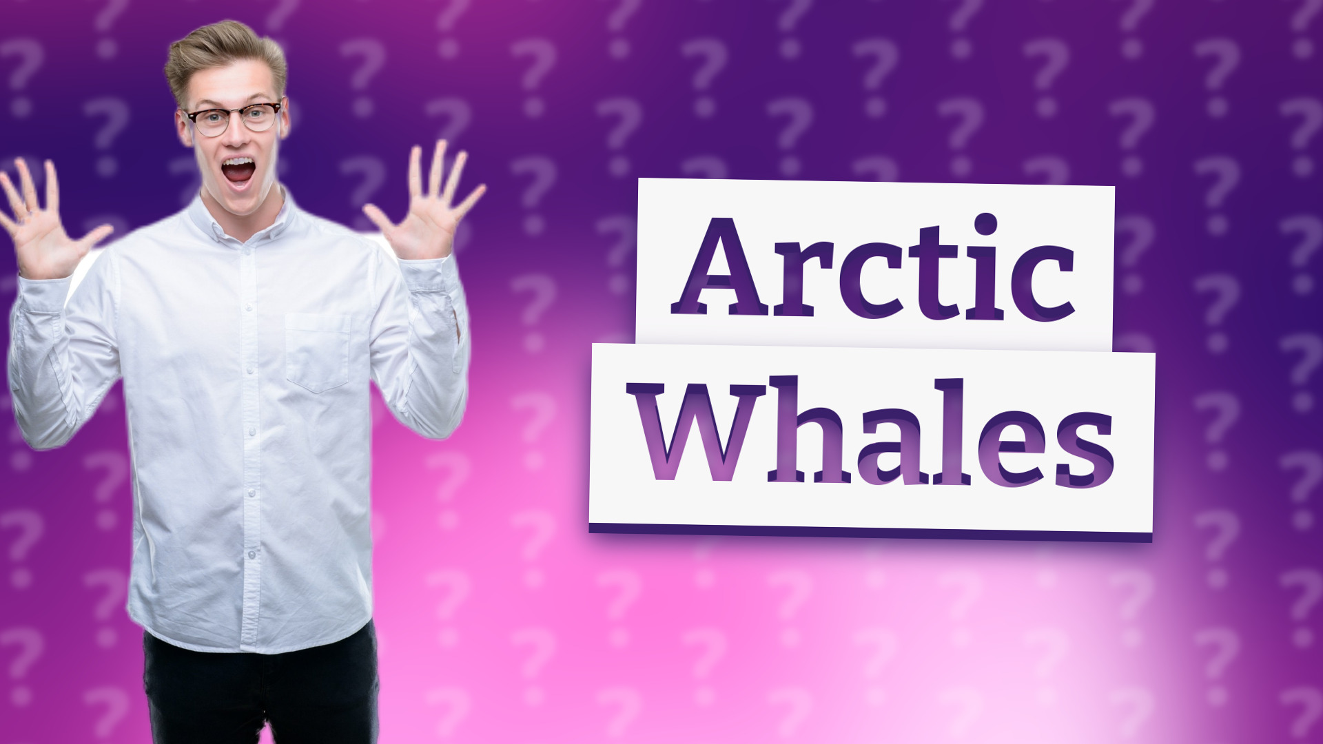 Arctic Whales