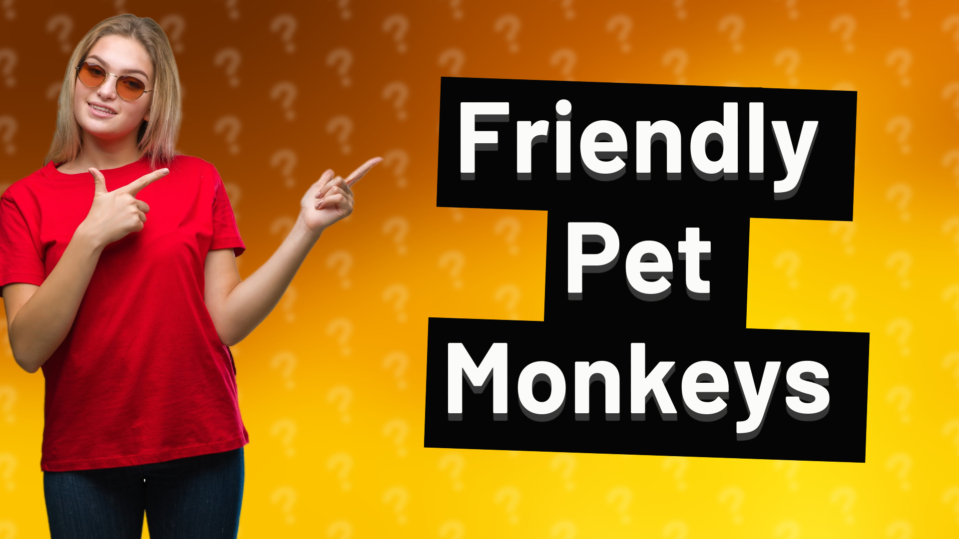 Friendly Pet Monkeys