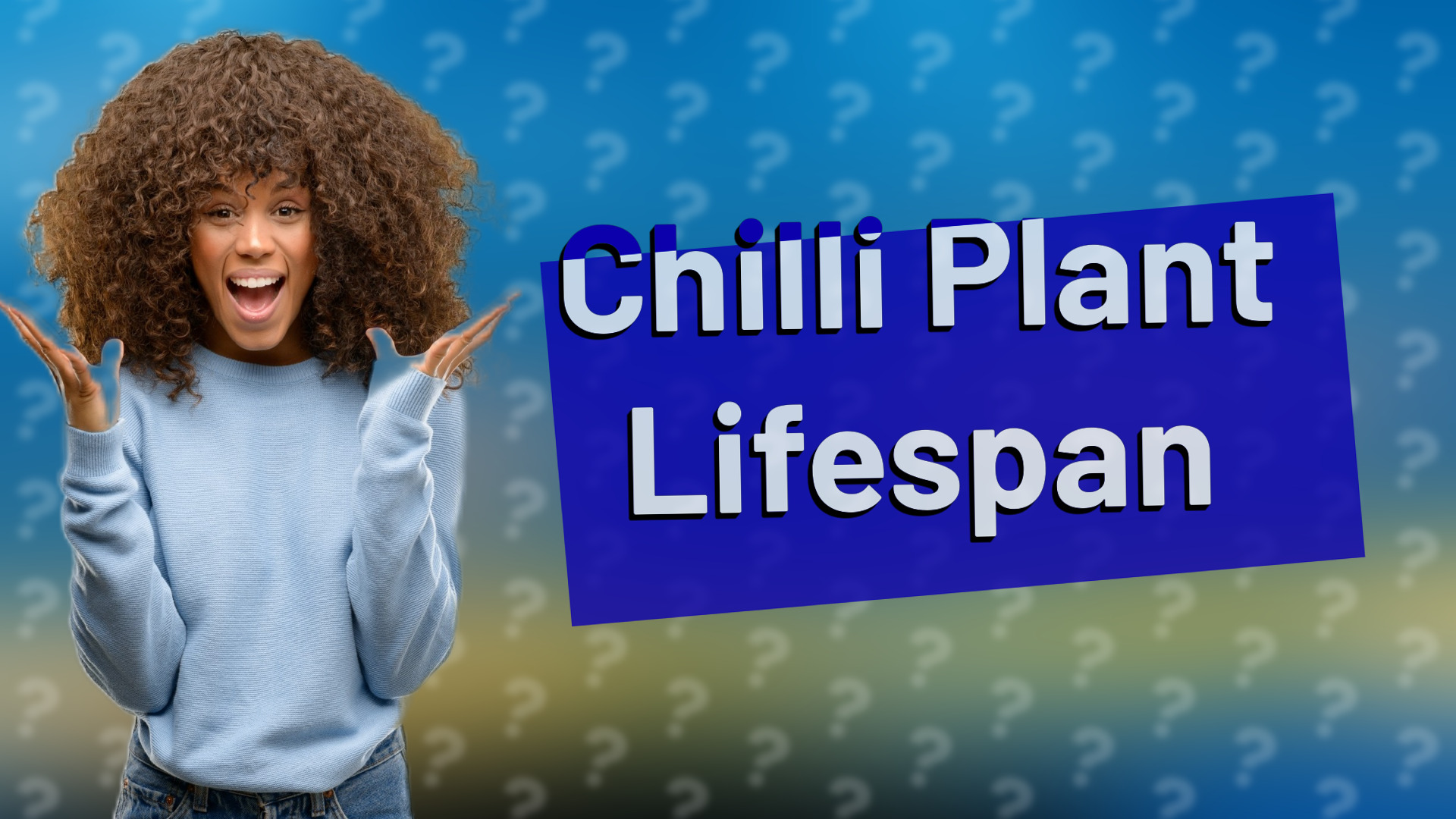 Chilli Plant Lifespan