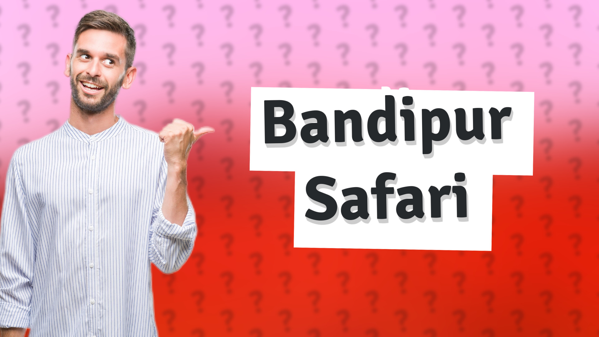 Bandipur Safari