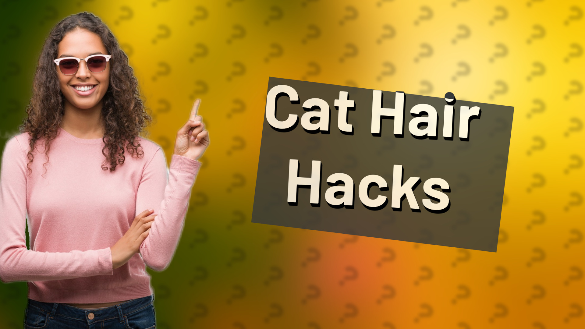 Cat Hair Hacks