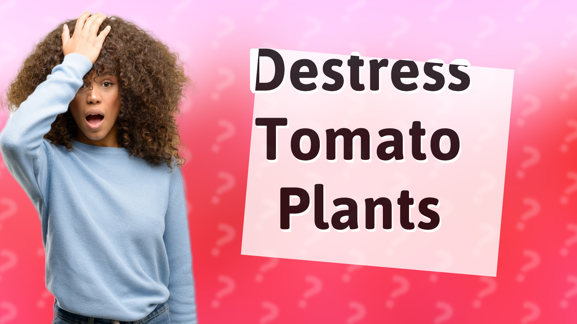 Destress Tomato Plants