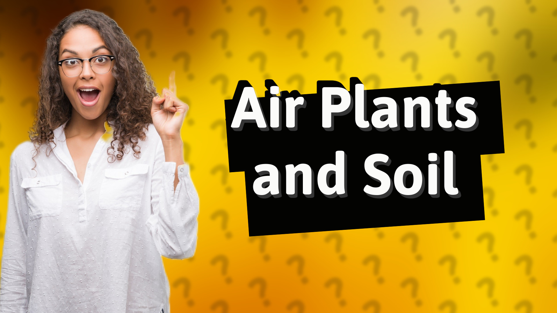 Air Plants and Soil