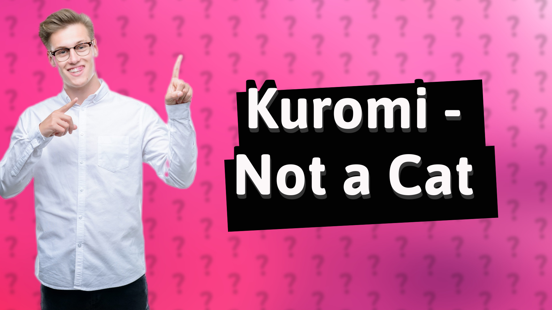 Kuromi - Not a Cat