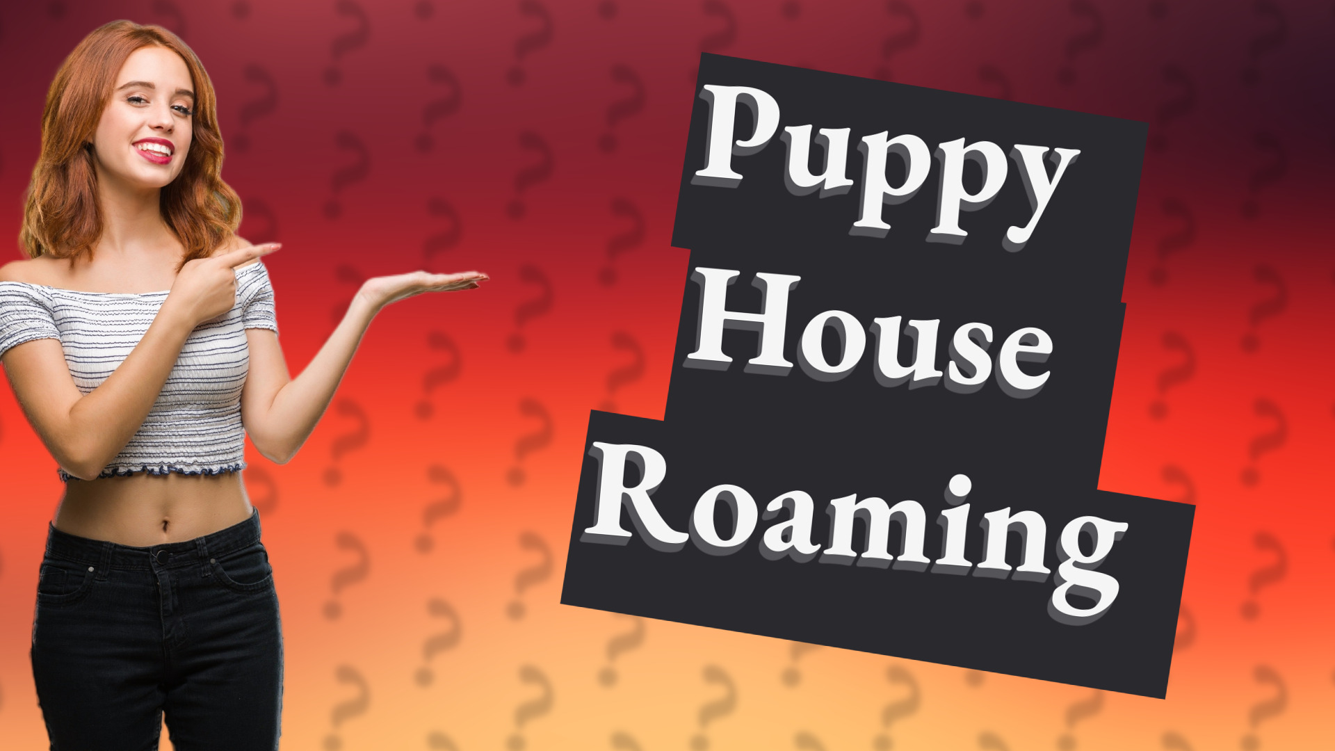 Puppy House Roaming