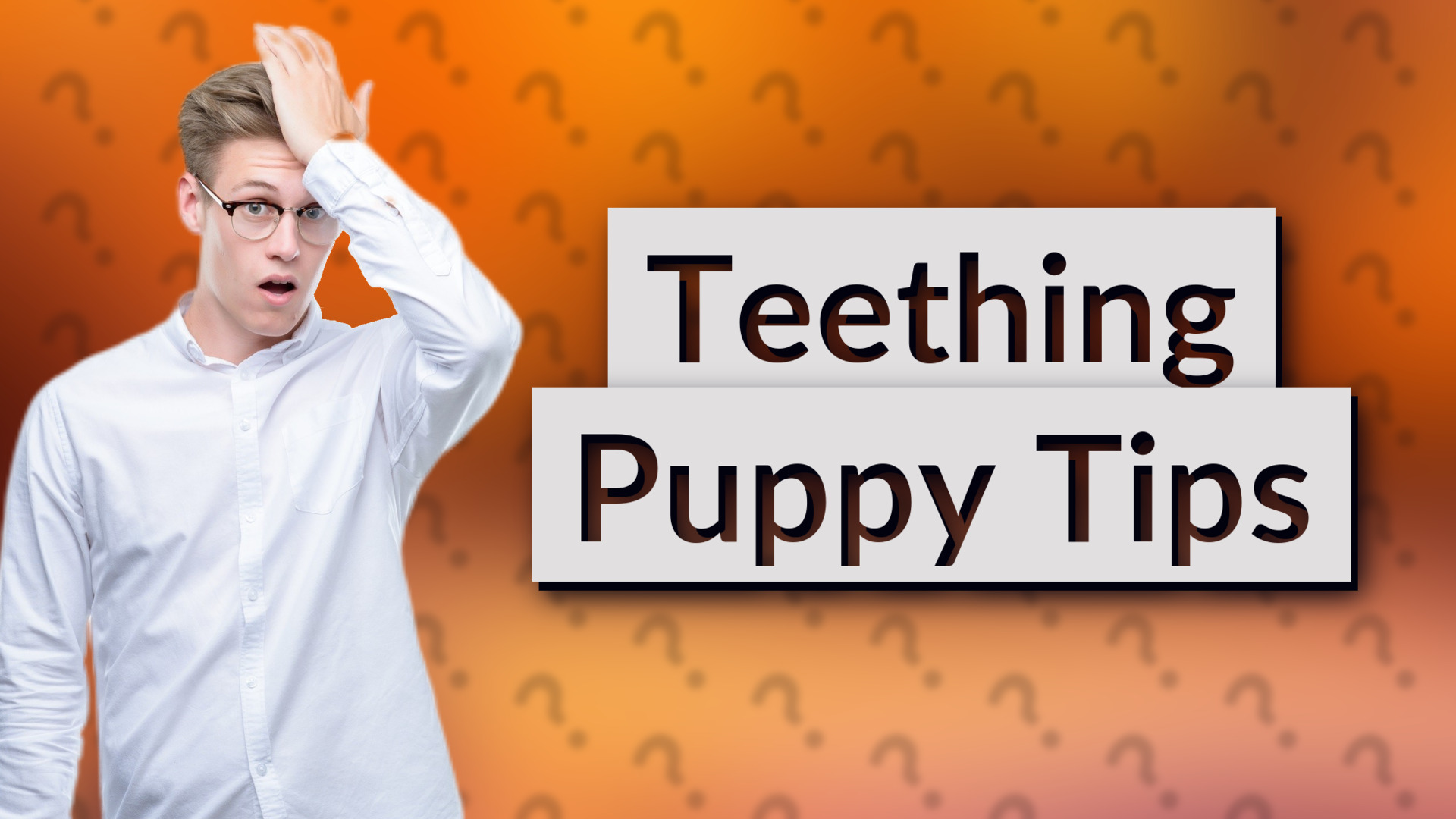 Teething Puppy Tips