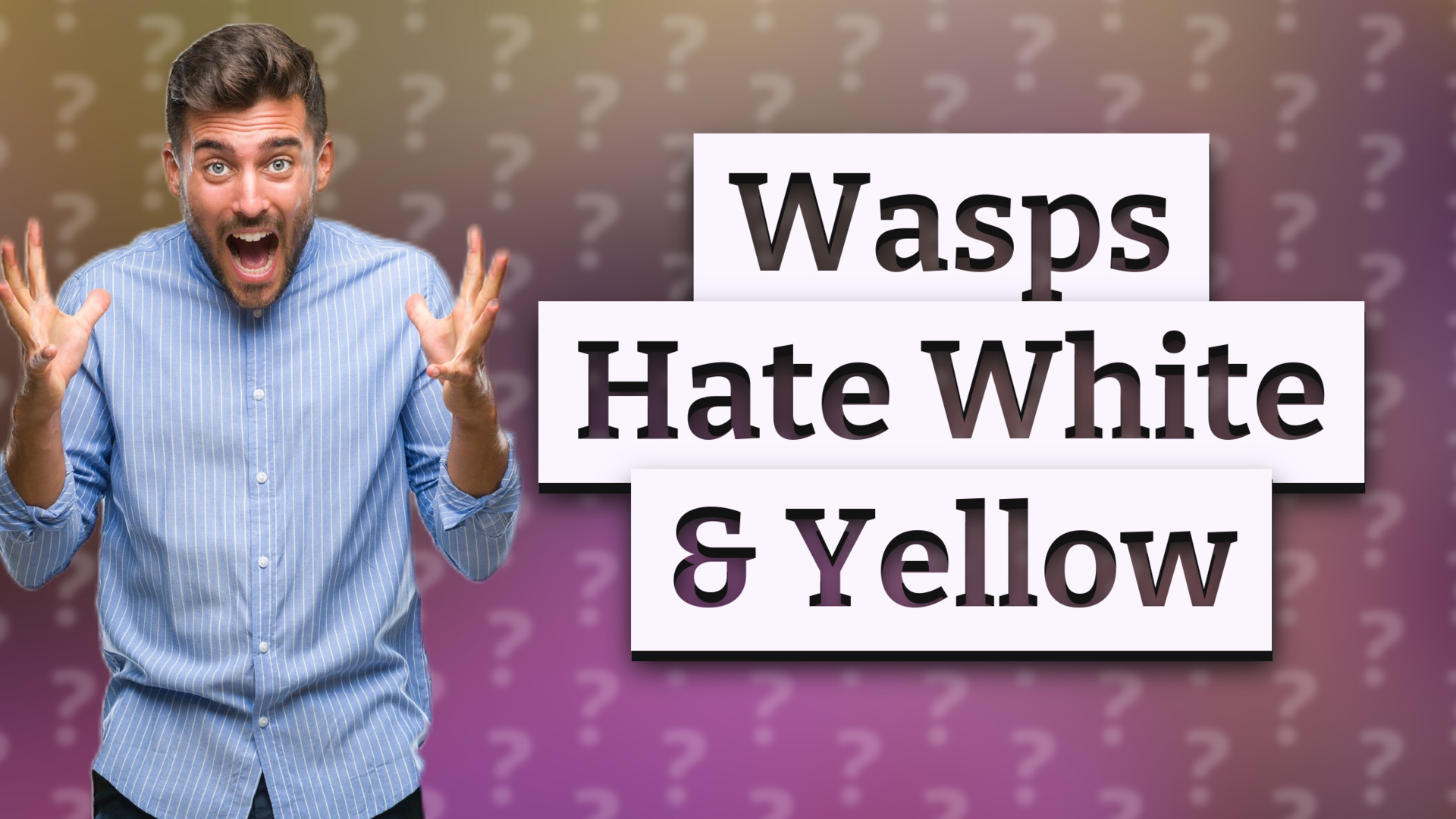 Wasps Hate White & Yellow