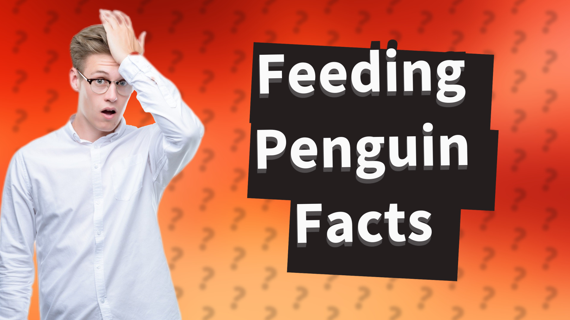 Feeding Penguin Facts