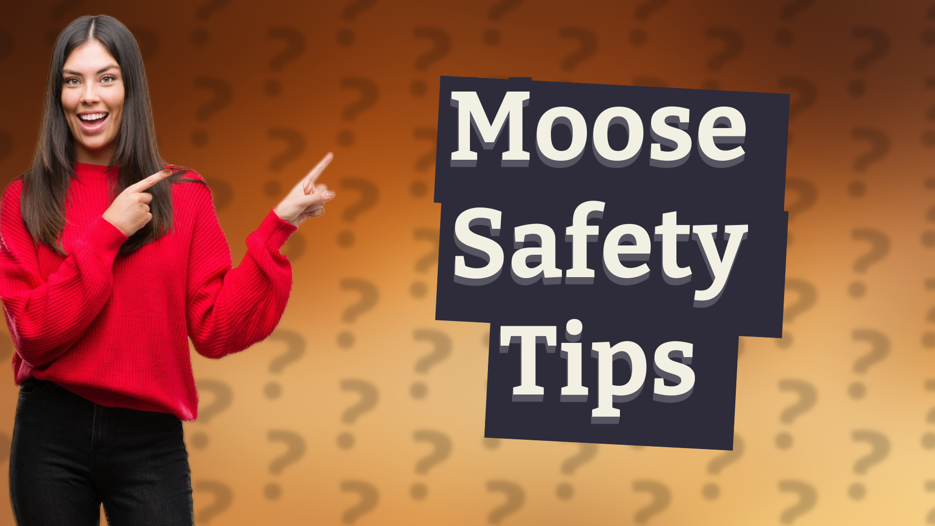 Moose Safety Tips