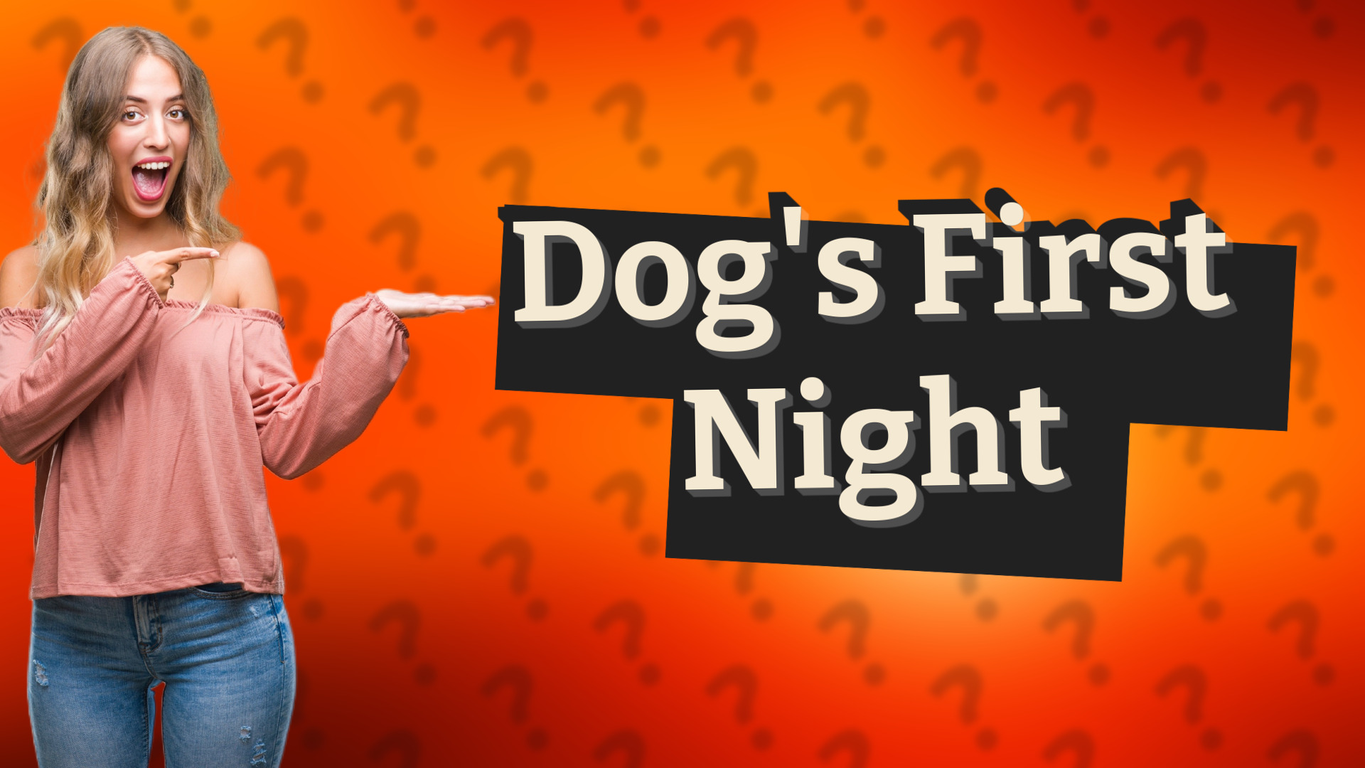 Dog's First Night