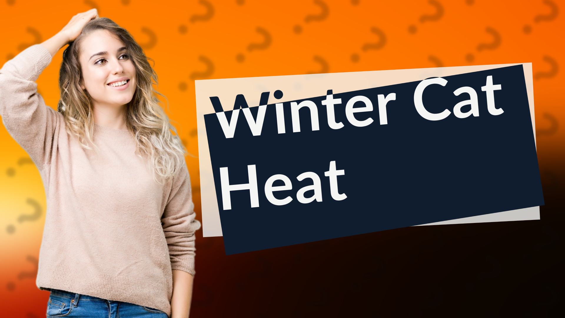 Winter Cat Heat