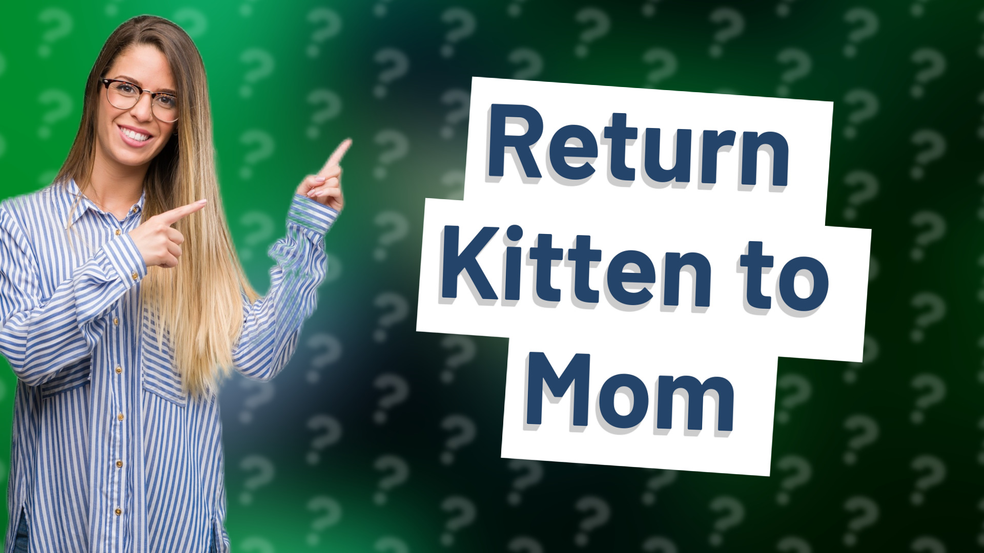 Return Kitten to Mom