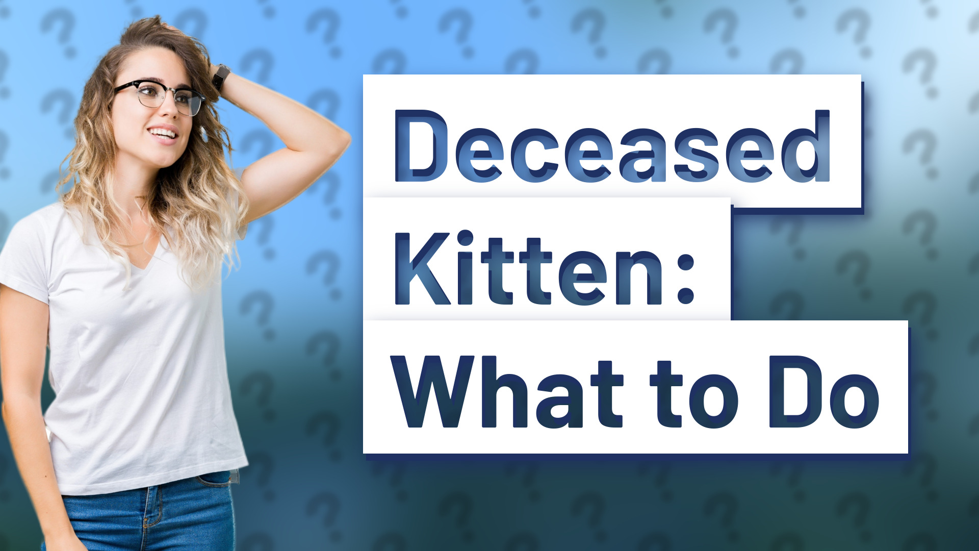 Deceased Kitten: What to Do
