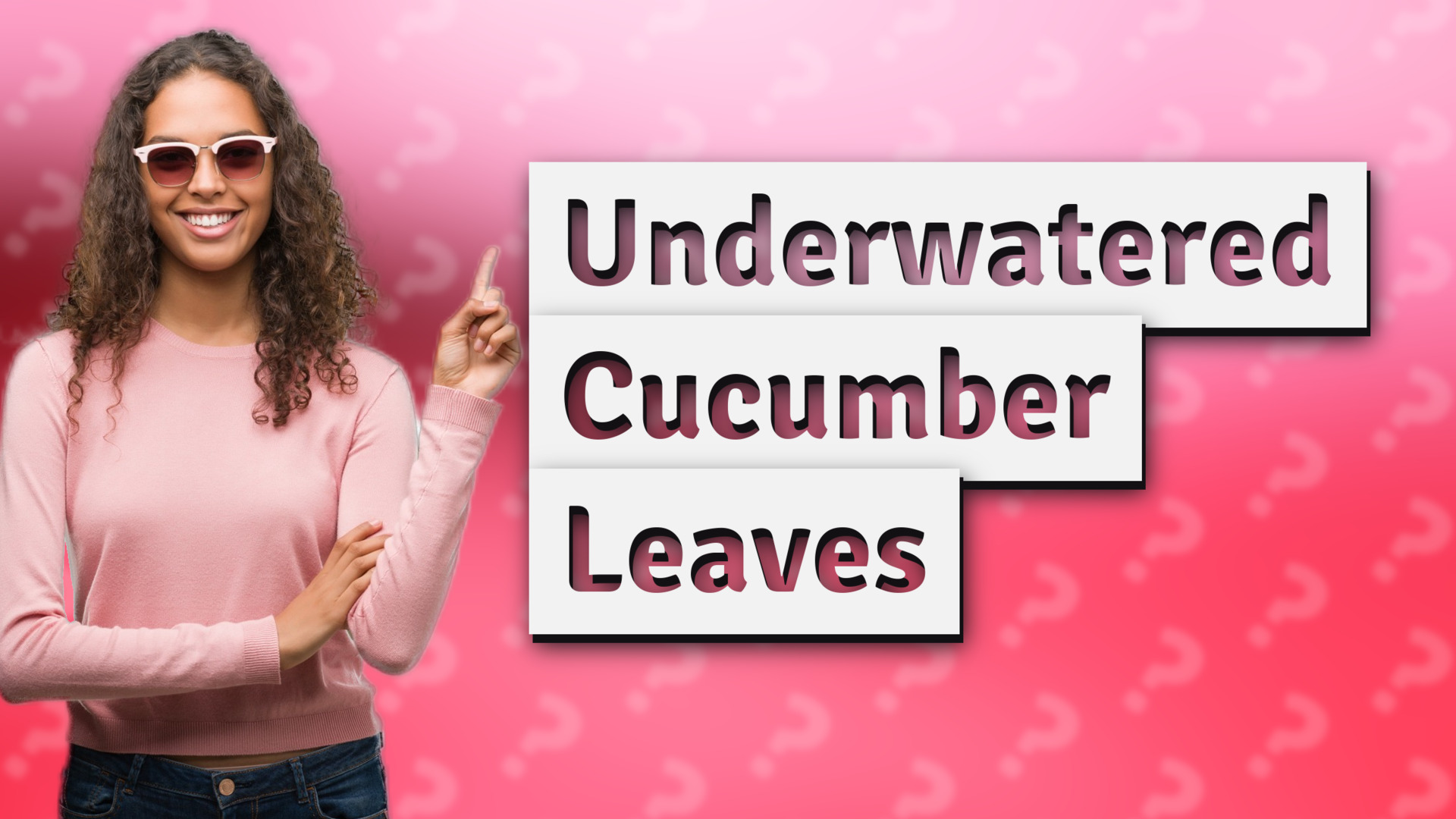 Underwatered Cucumber Leaves